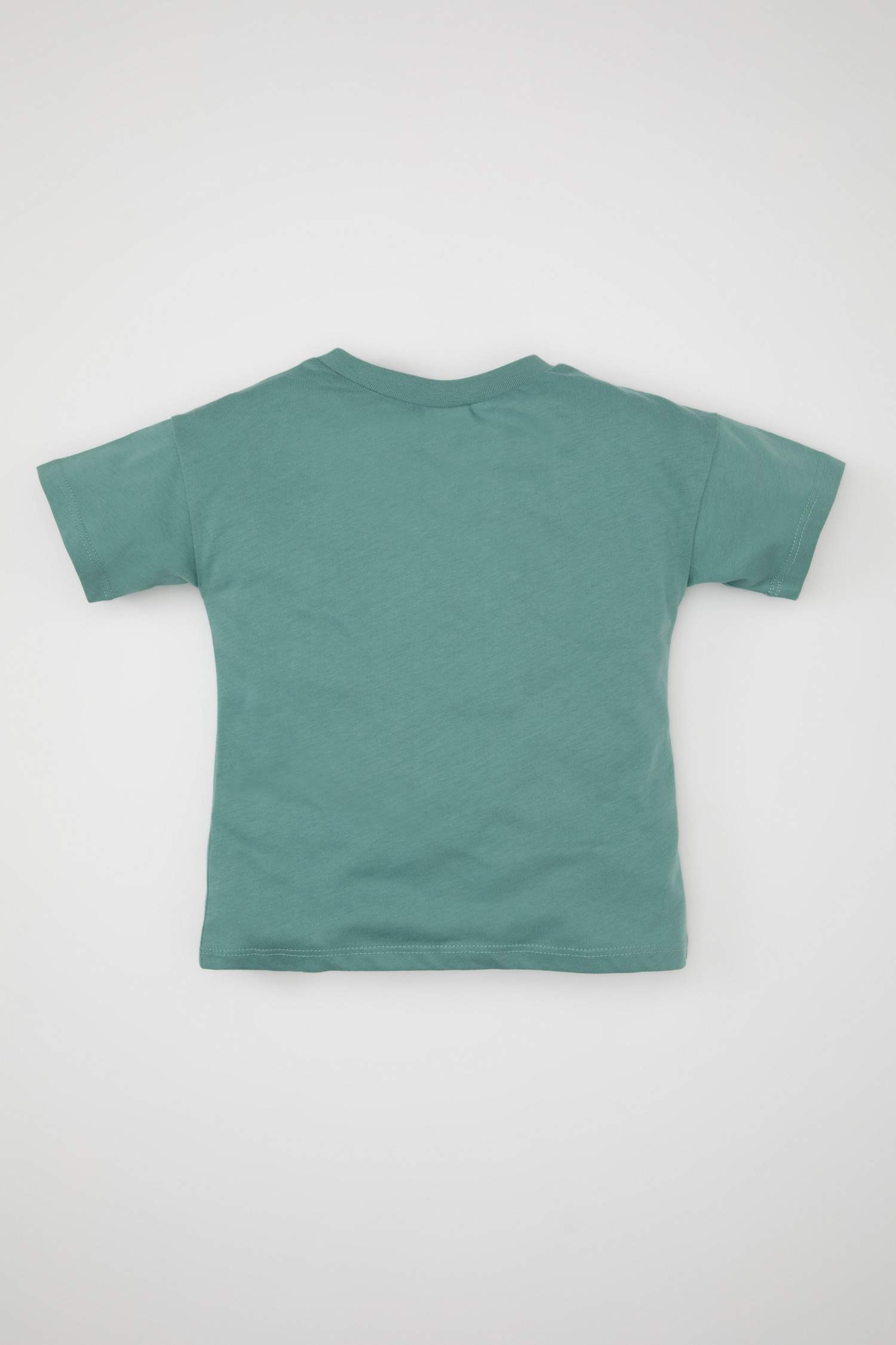 Baby Boy Crew Neck Printed T-Shirt