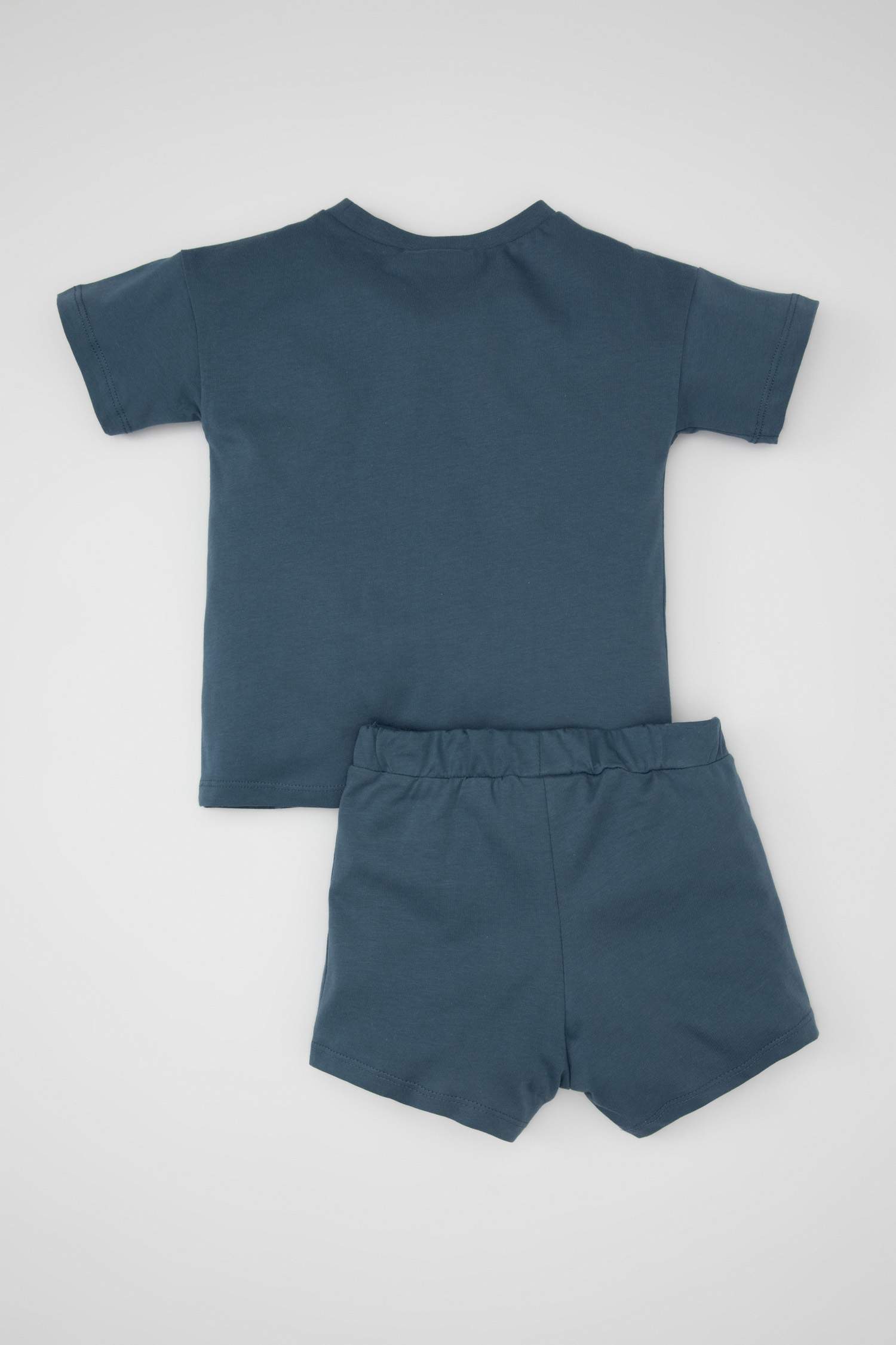 Baby Boy Palm Tree Patterned T-Shirt Shorts 2 Piece Set