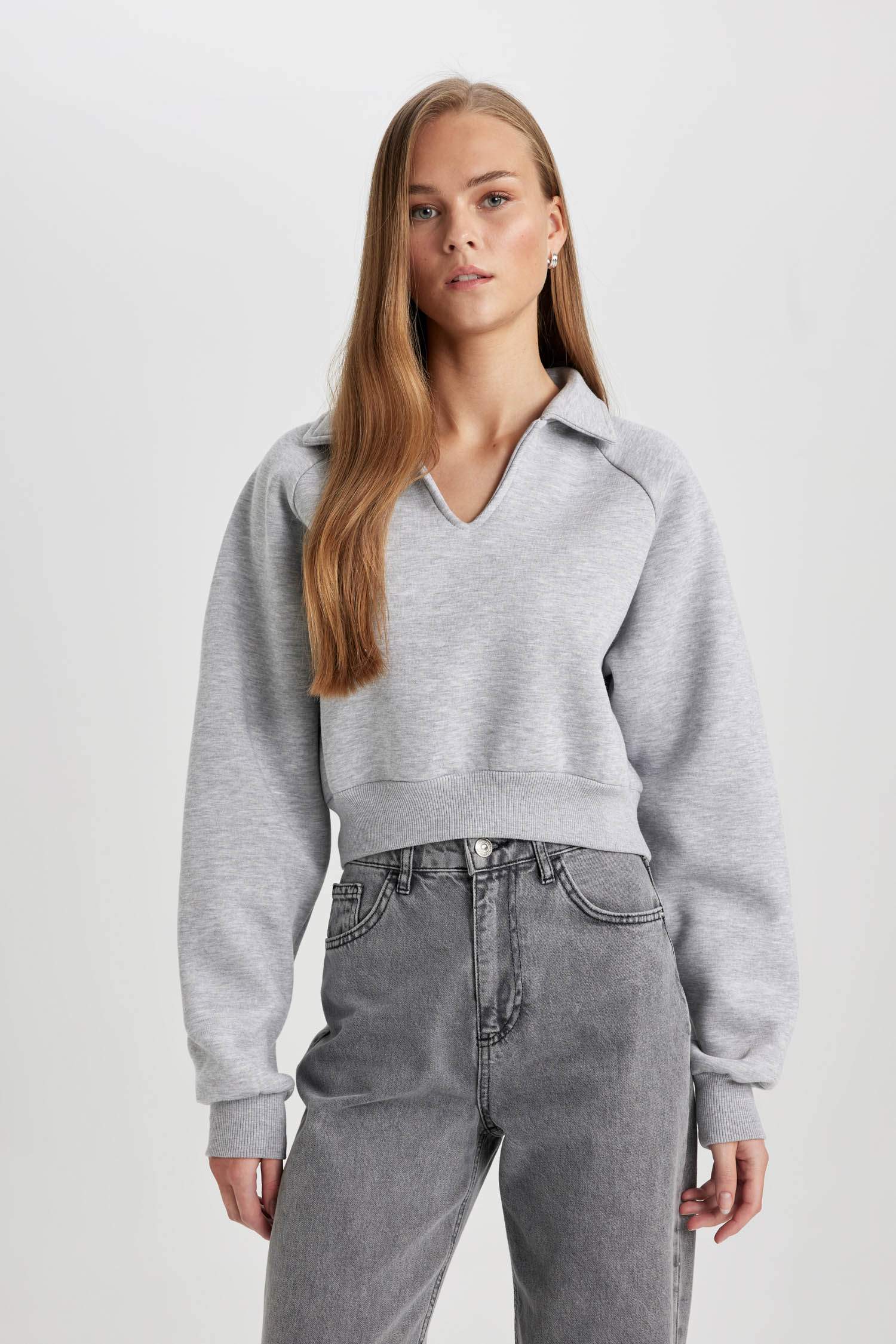 Regular Fit Polo Neck Basic Thick Sweatshirt