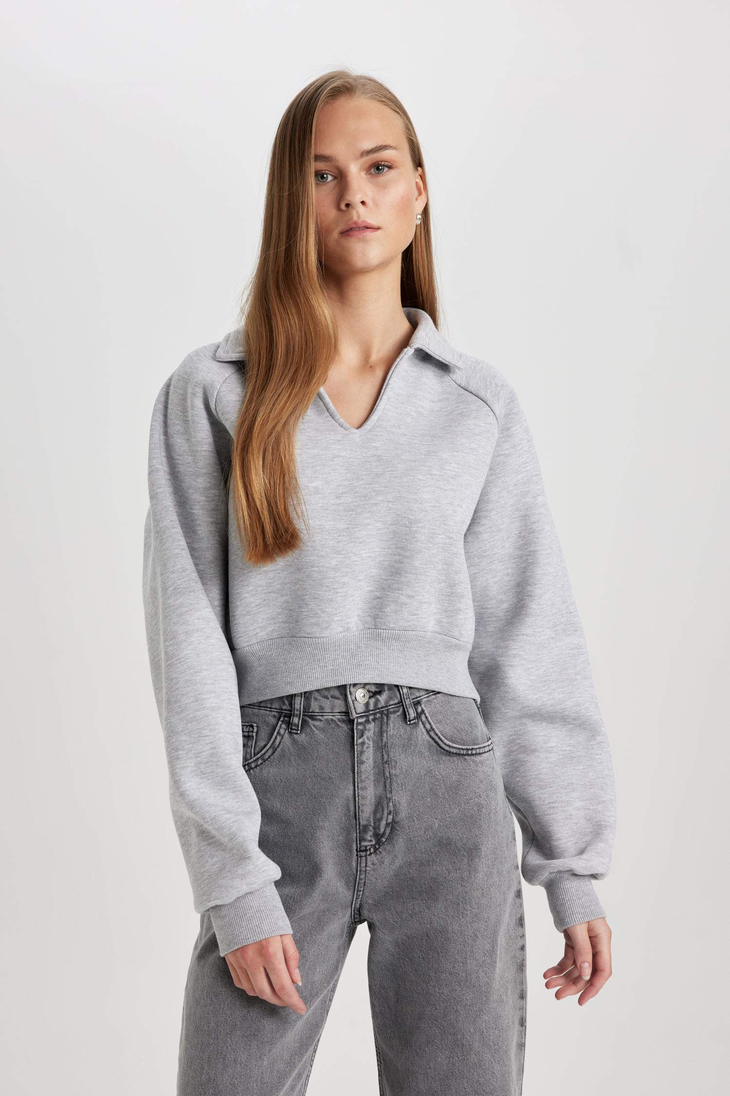 Regular Fit Polo Neck Basic Thick Sweatshirt