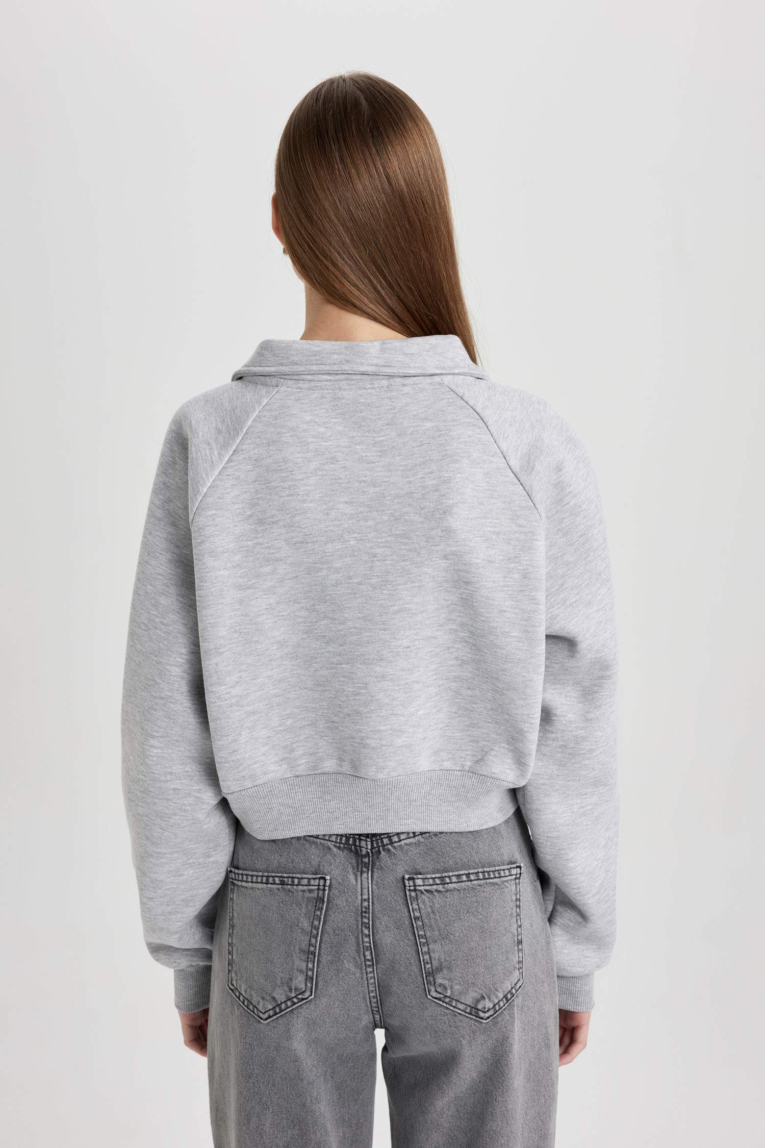 Regular Fit Polo Neck Basic Thick Sweatshirt