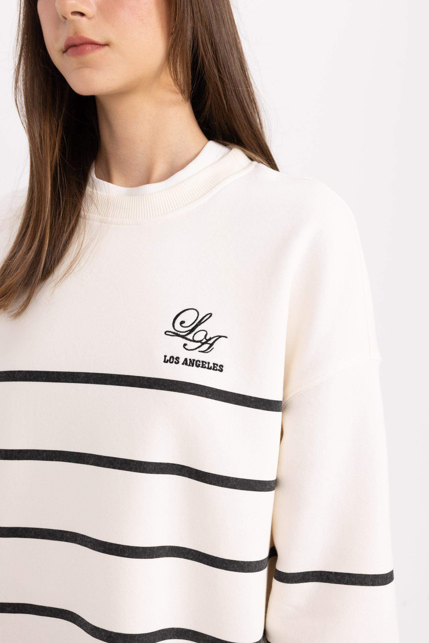 Regular Fit Crew Neck Printed Soft Fluffy Thick Sweatshirt Tunic