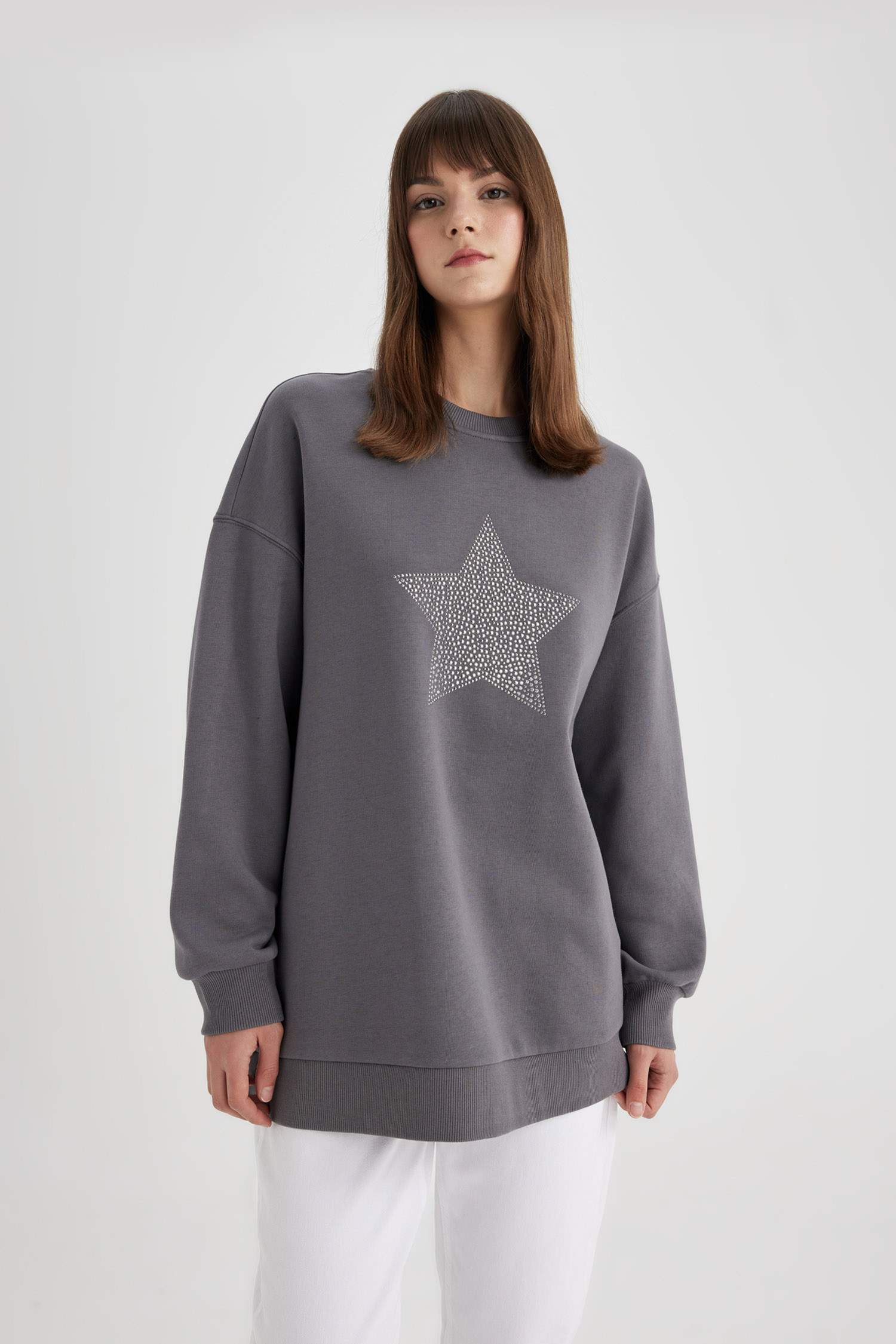 Regular Fit Thick Sweatshirt Fabric Crew Neck Sweat Tunic