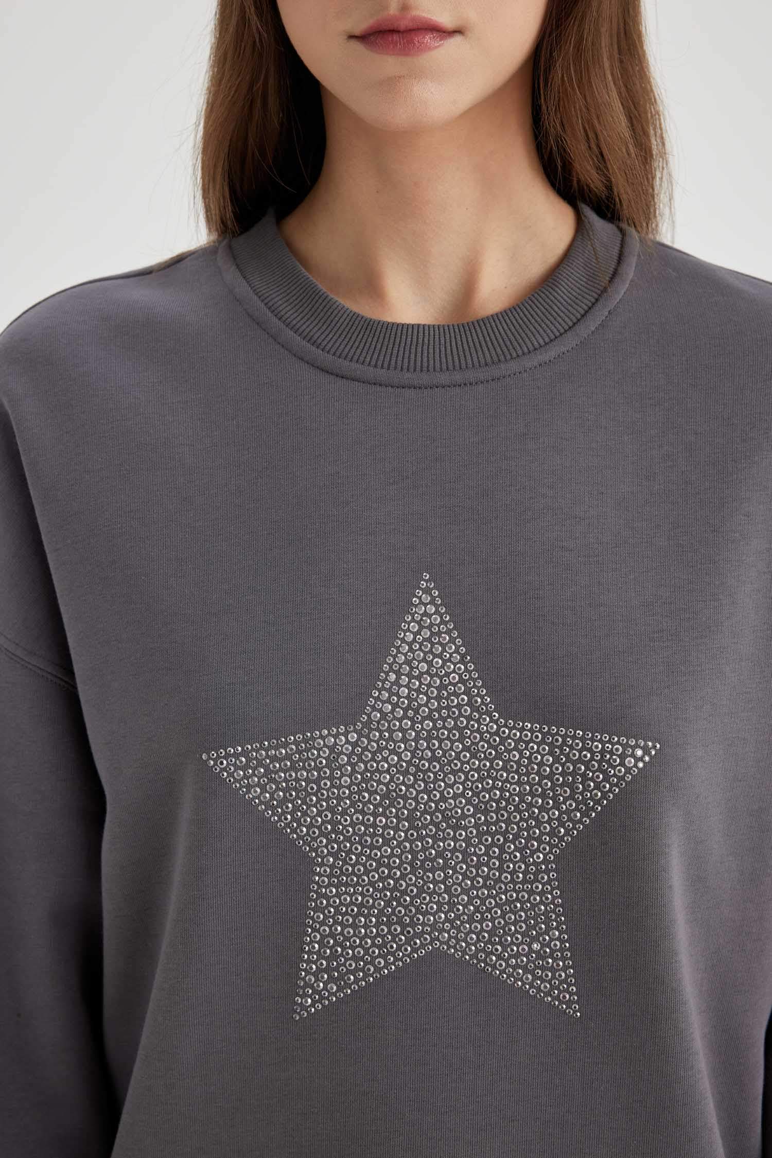 Regular Fit Thick Sweatshirt Fabric Crew Neck Sweat Tunic