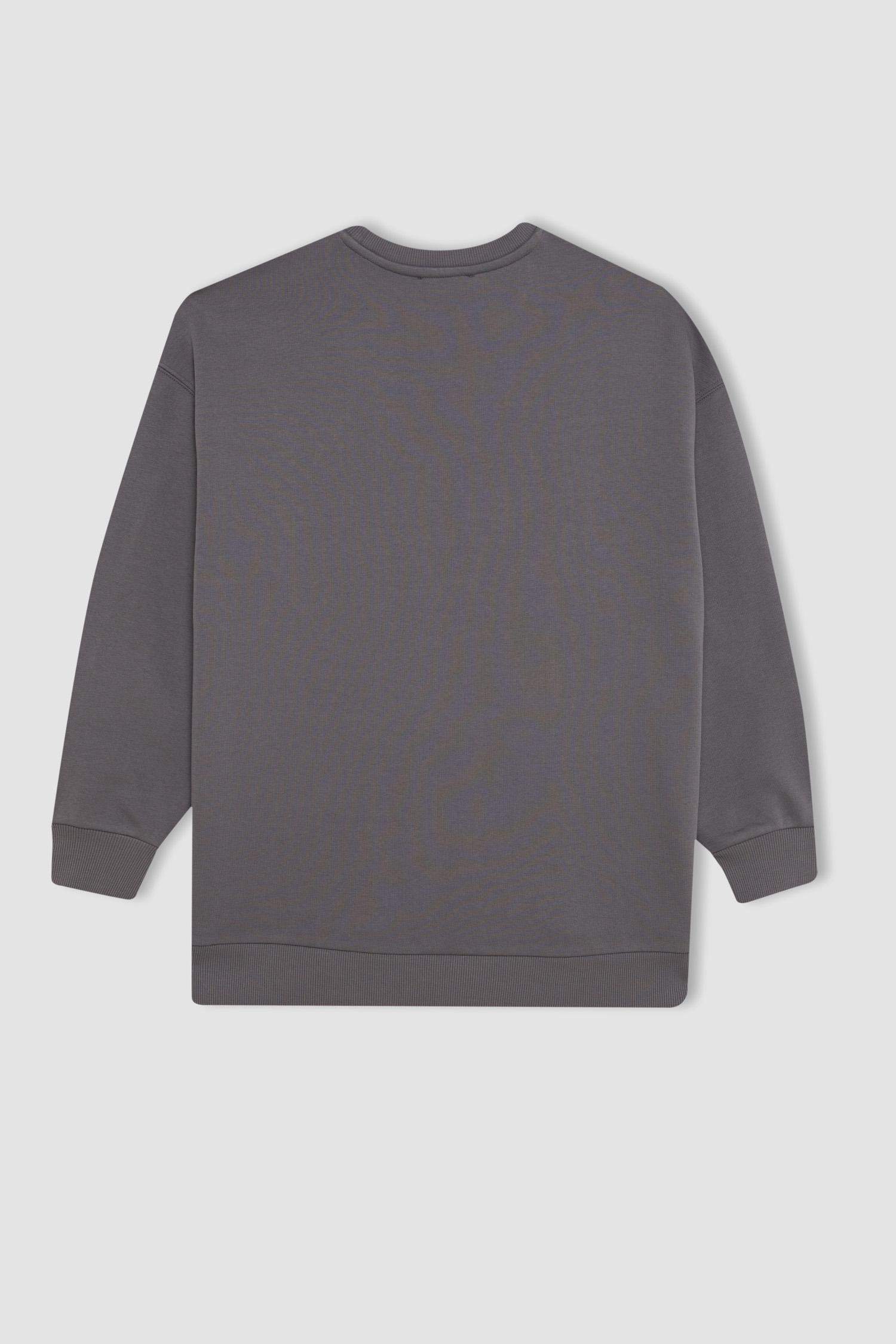 Regular Fit Thick Sweatshirt Fabric Crew Neck Sweat Tunic