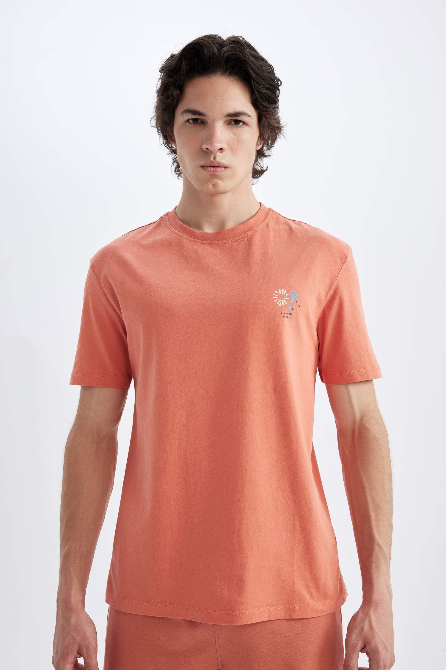 تيشيرت مطبوع قصة عادية برقبة مستديرة