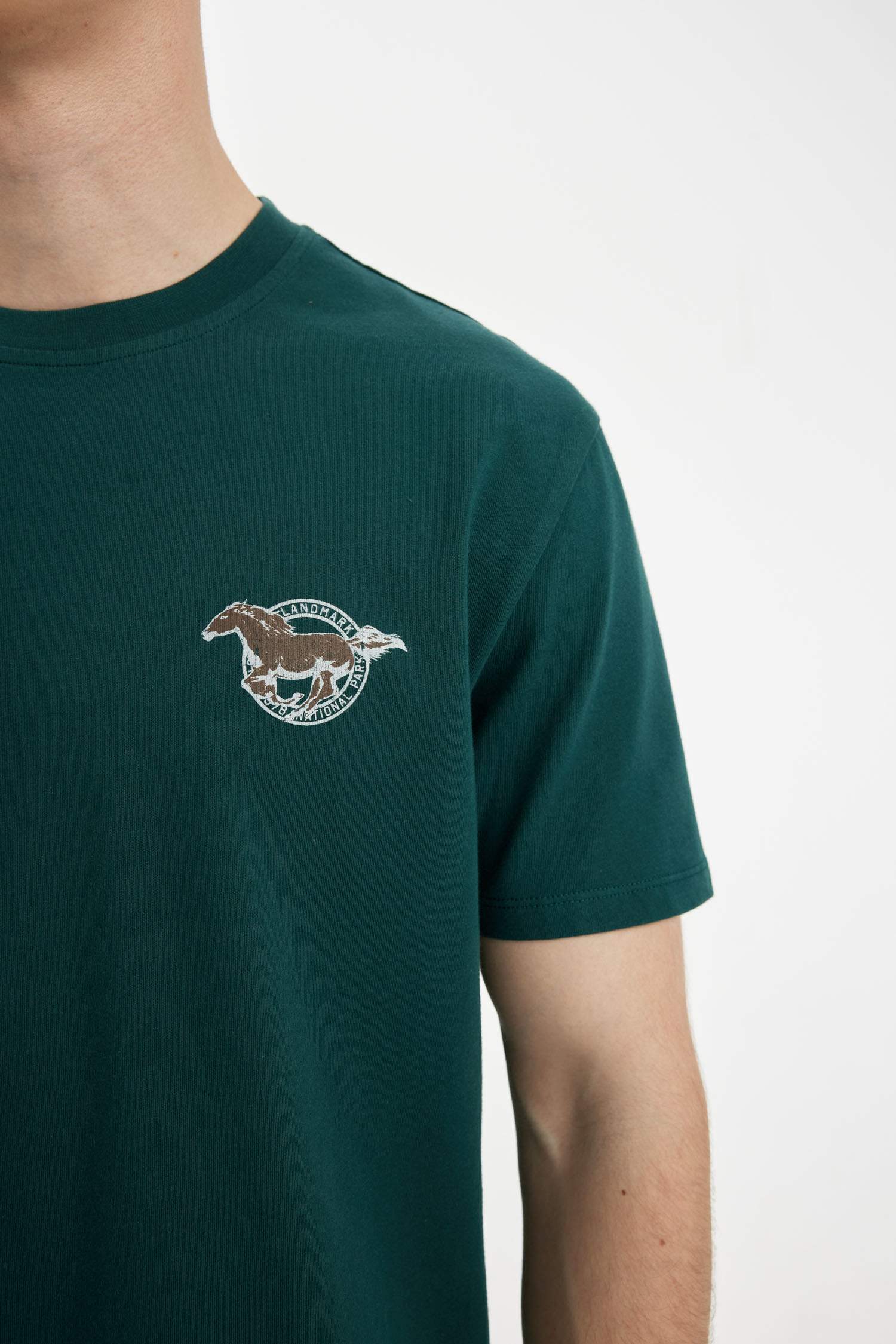 تيشيرت بطبعة من الخلف قصة عادية بياخة مستديرة