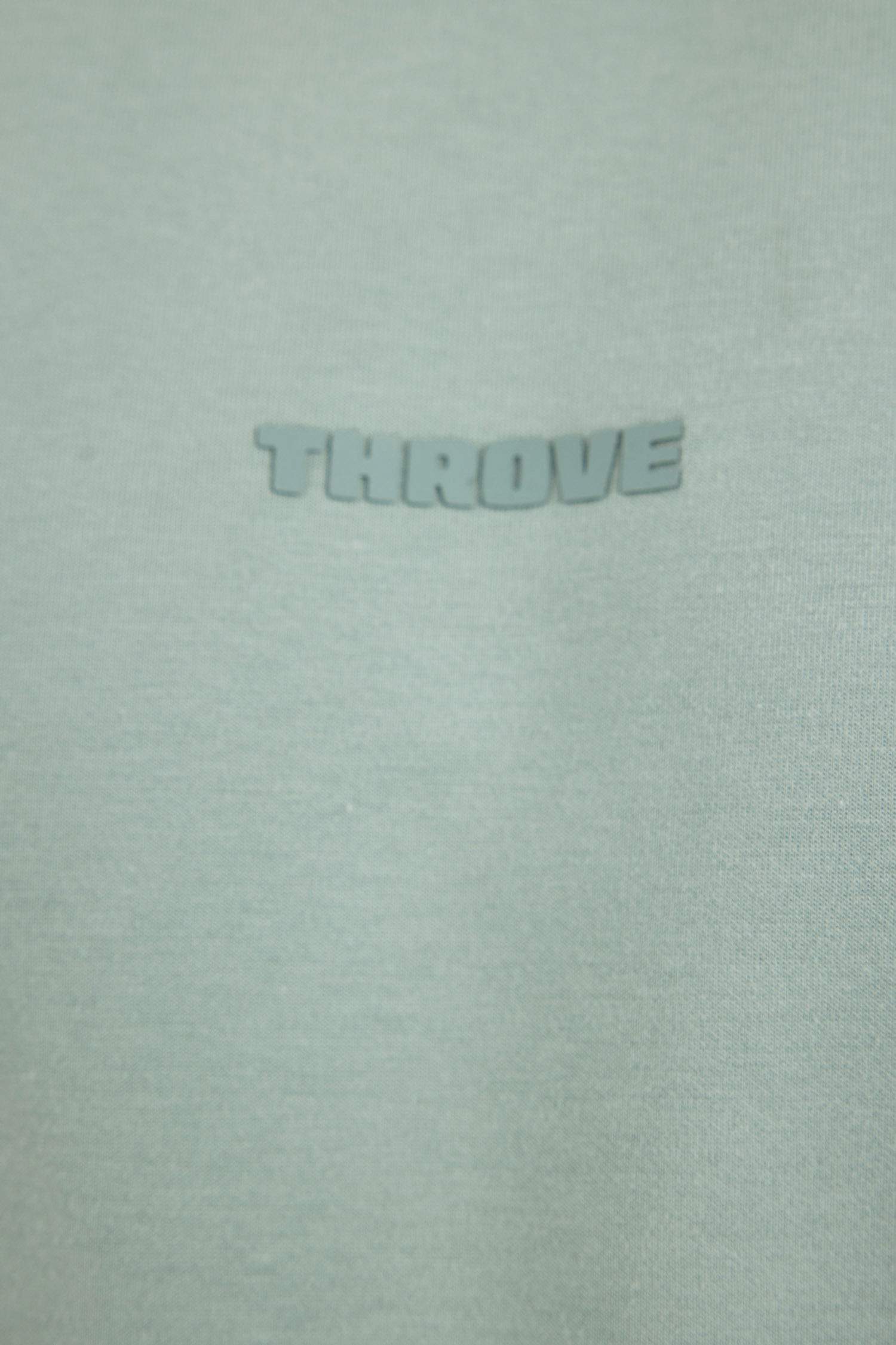 Regular Fit Crew Neck Printed Heavy Fabric T-Shirt