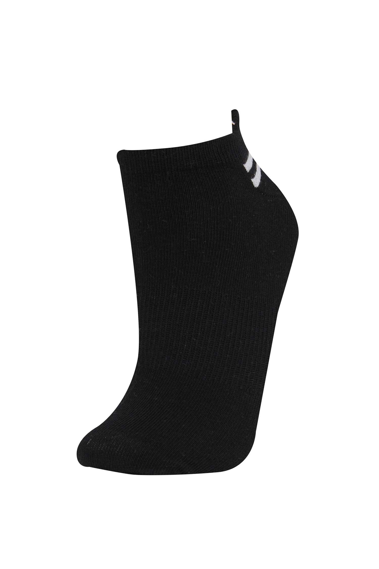 Kadın 3'lü Pamuklu Patik Çorap