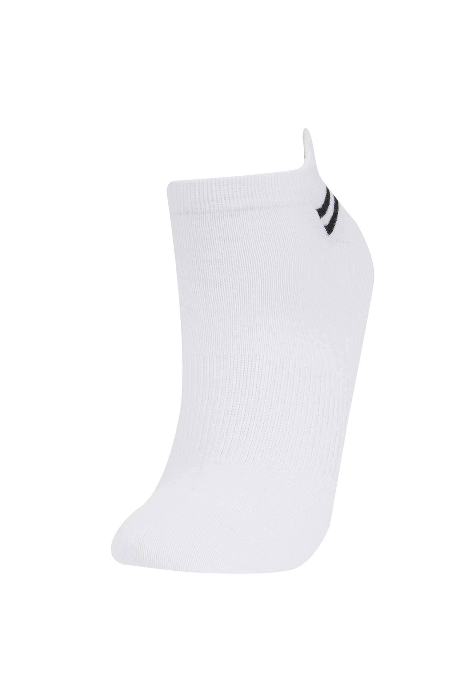 Kadın 3'lü Pamuklu Patik Çorap