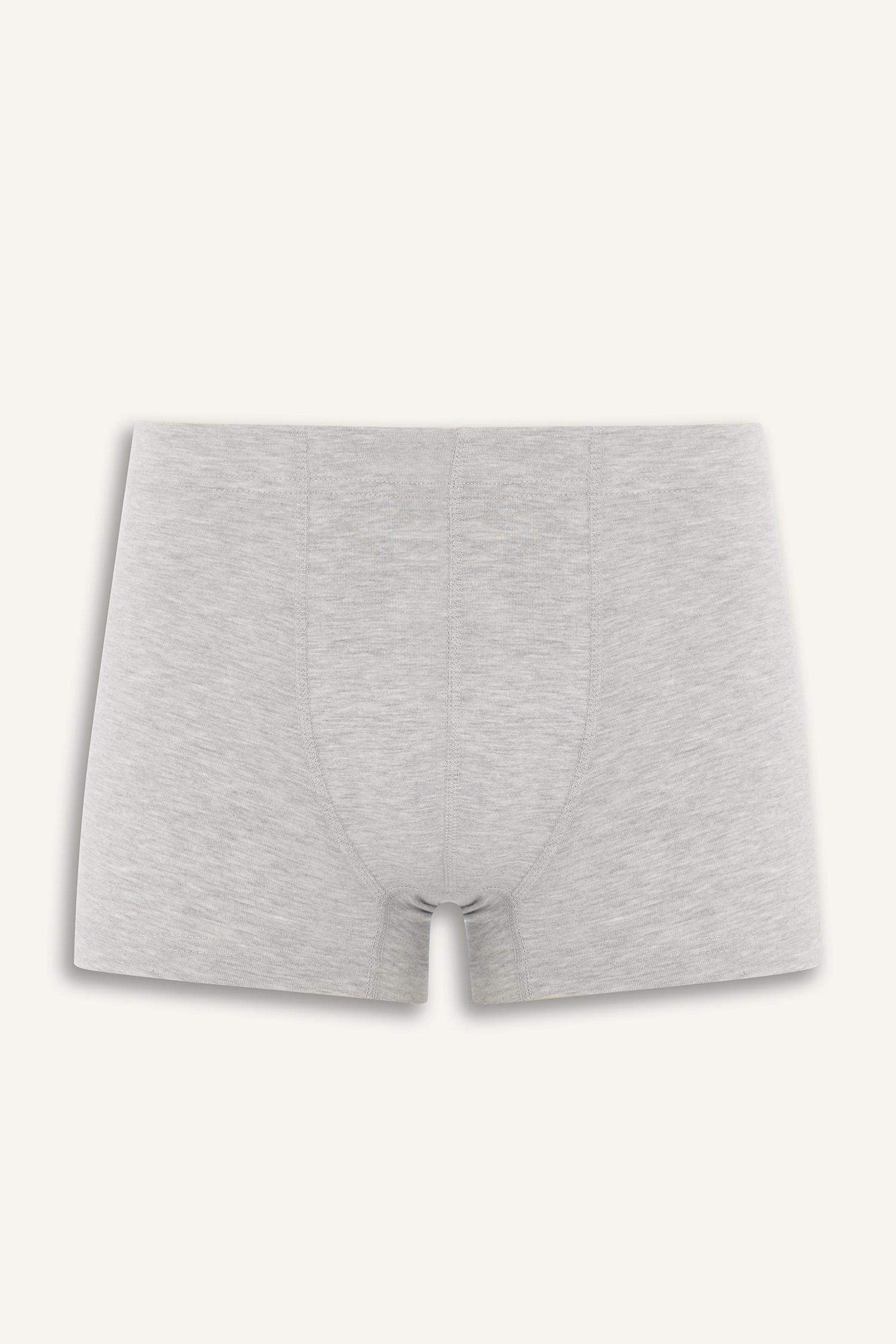 Regular Fit 3'lü Boxer