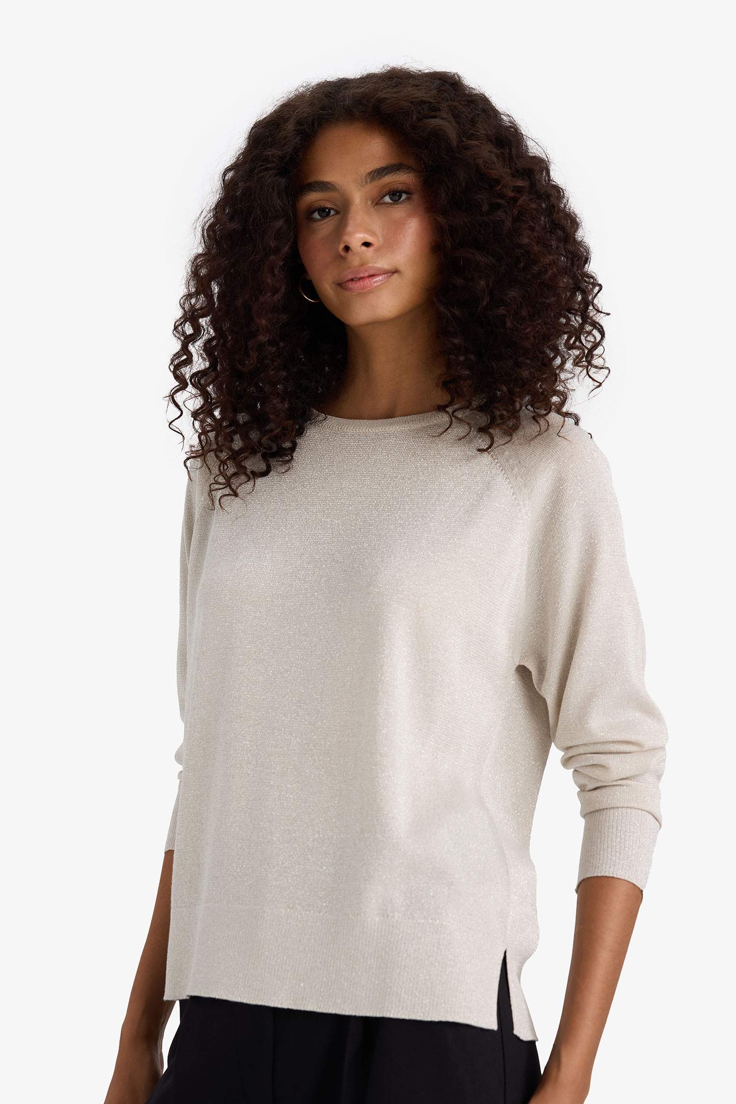 Regular Fit Bisiklet Yaka Triko Kazak