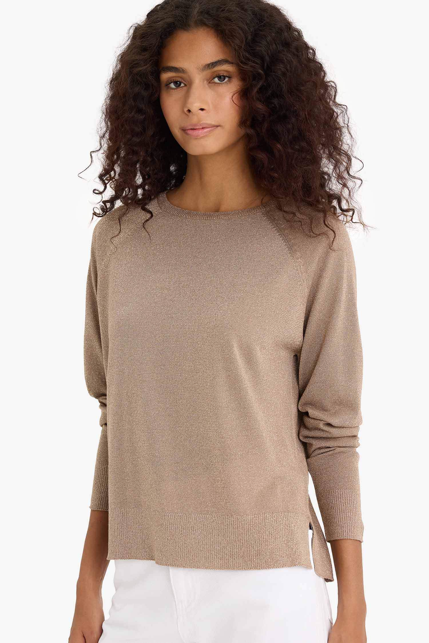 Regular Fit Bisiklet Yaka Triko Kazak