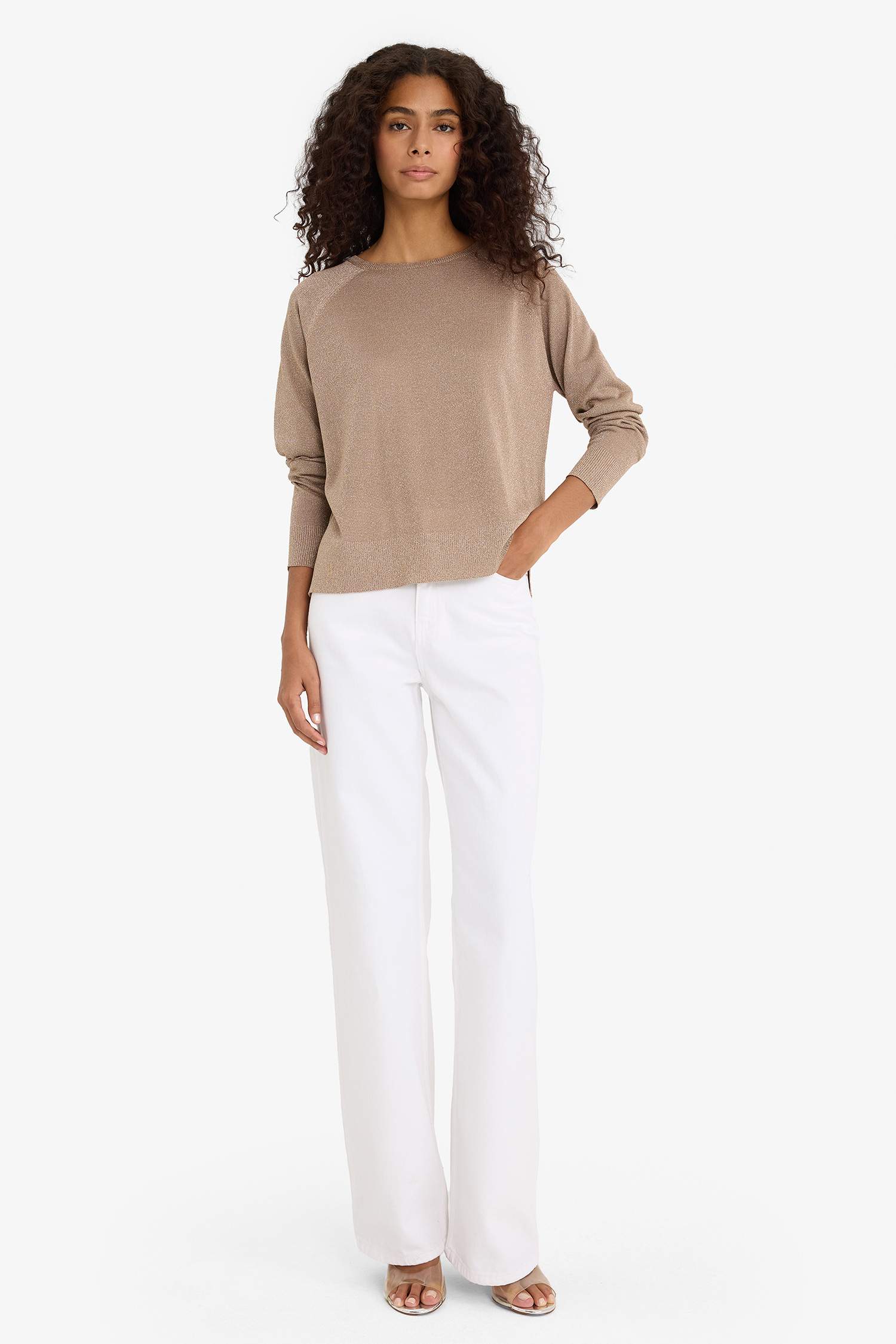 Regular Fit Bisiklet Yaka Triko Kazak