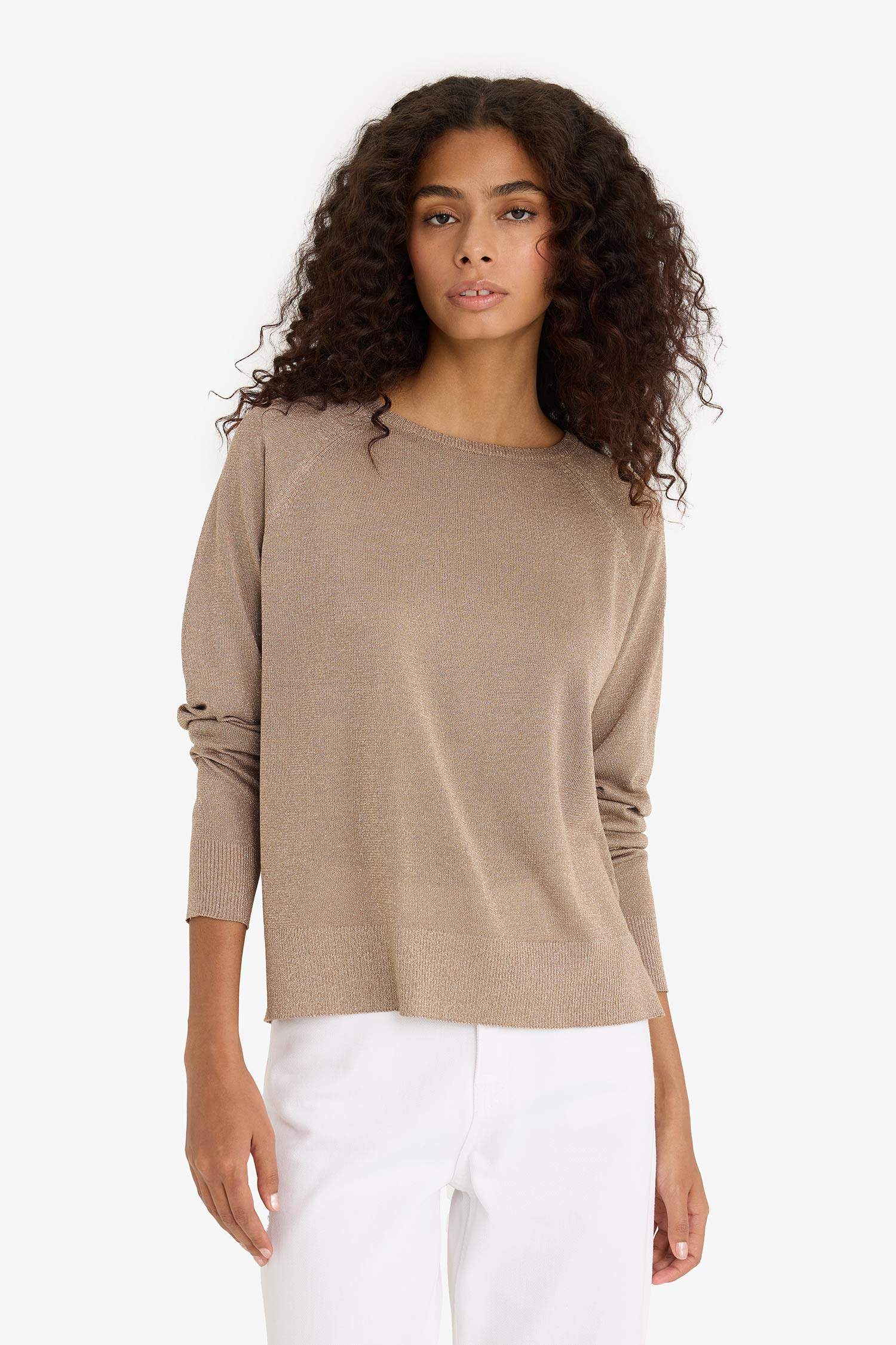 Regular Fit Bisiklet Yaka Triko Kazak