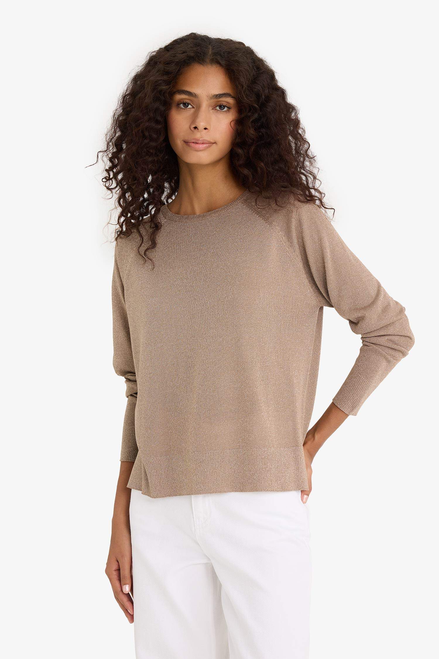 Regular Fit Bisiklet Yaka Triko Kazak