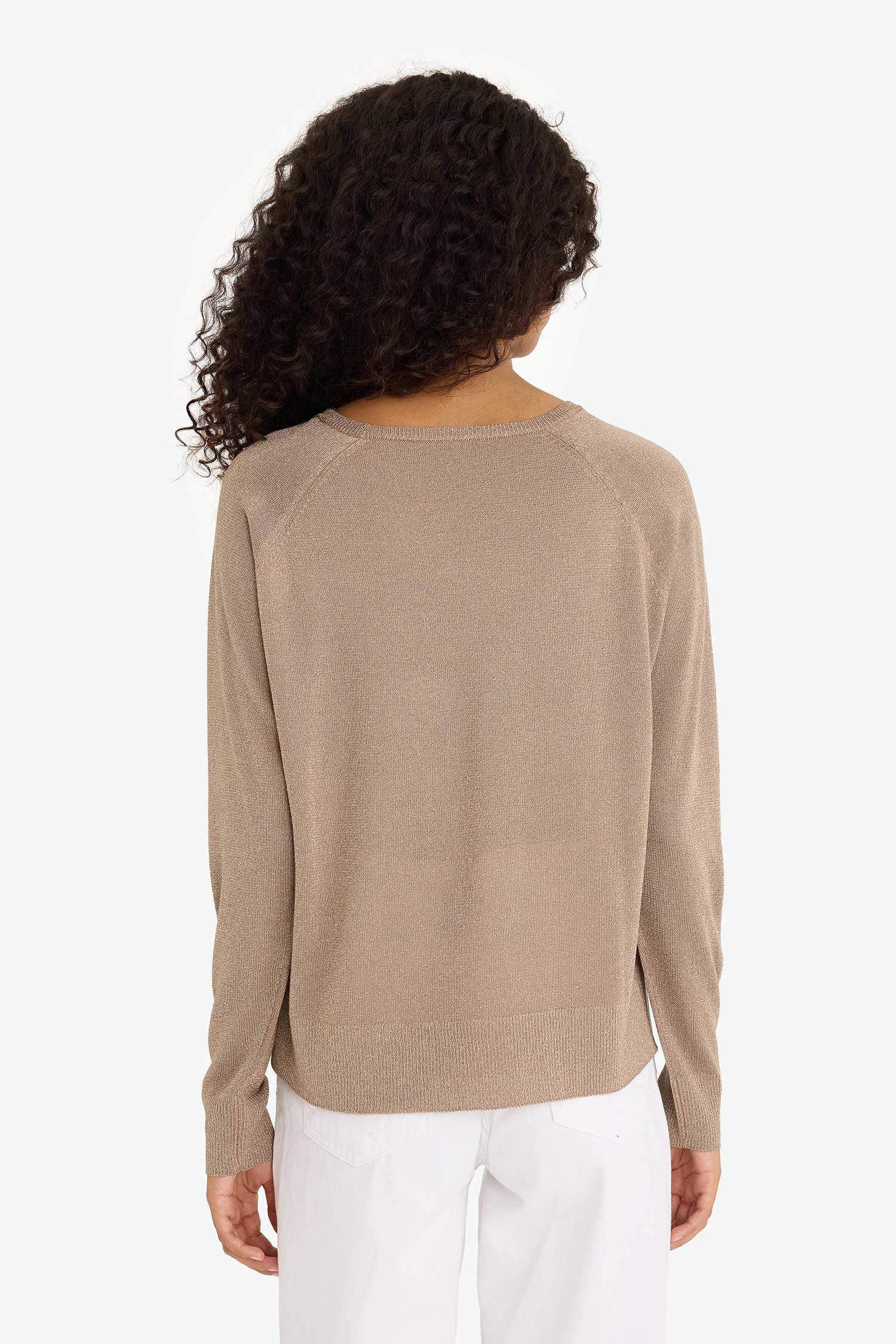 Regular Fit Bisiklet Yaka Triko Kazak