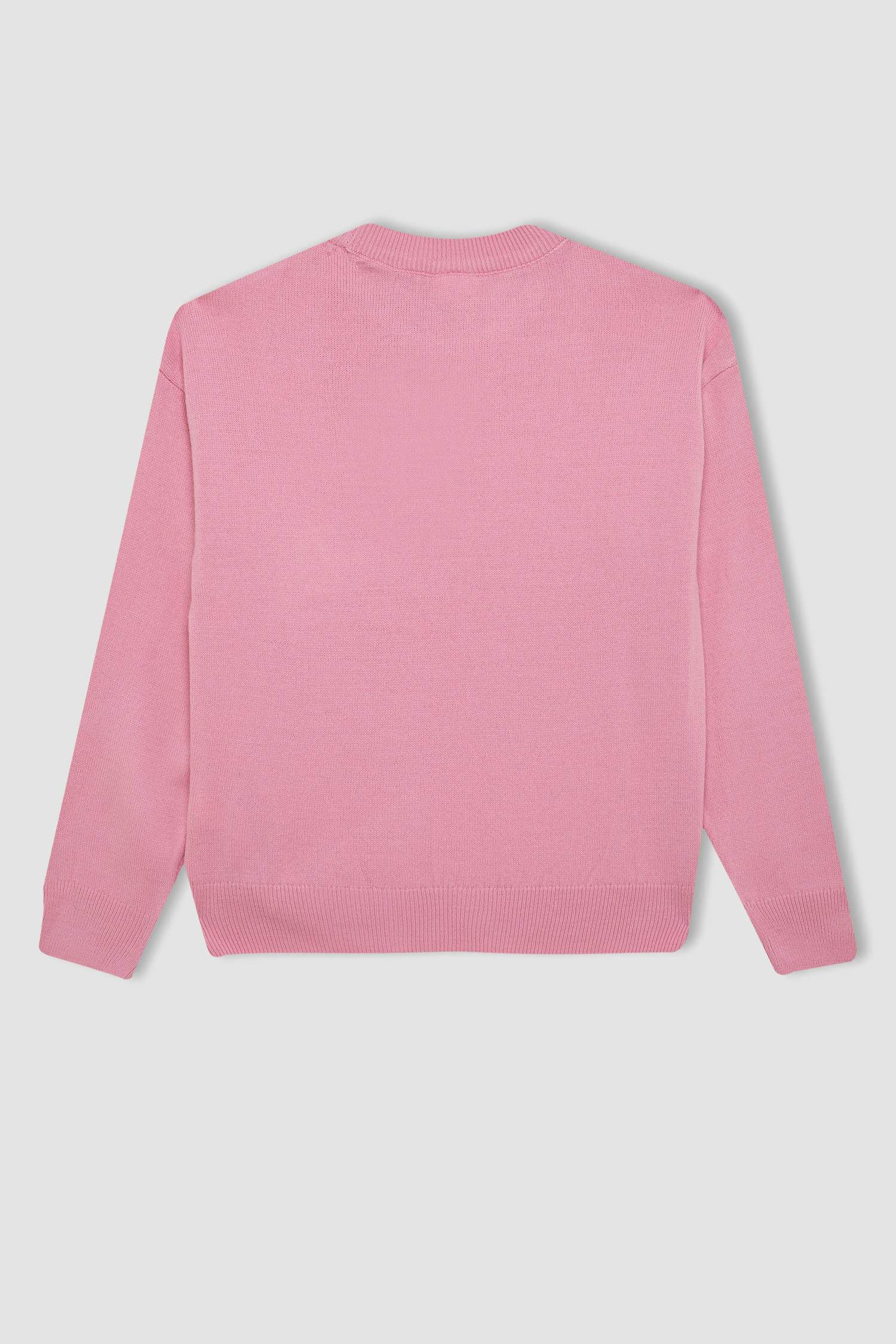 Kız Çocuk Açık Pembe Standart Fit Bisiklet Yaka Basic Düz Triko Kazak