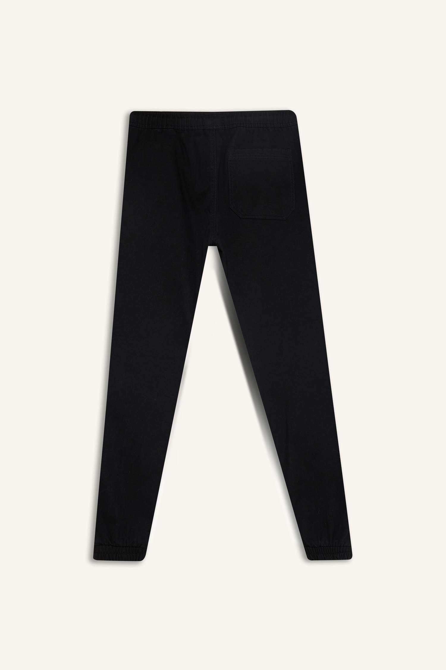 Regular Fit Jogger Pants