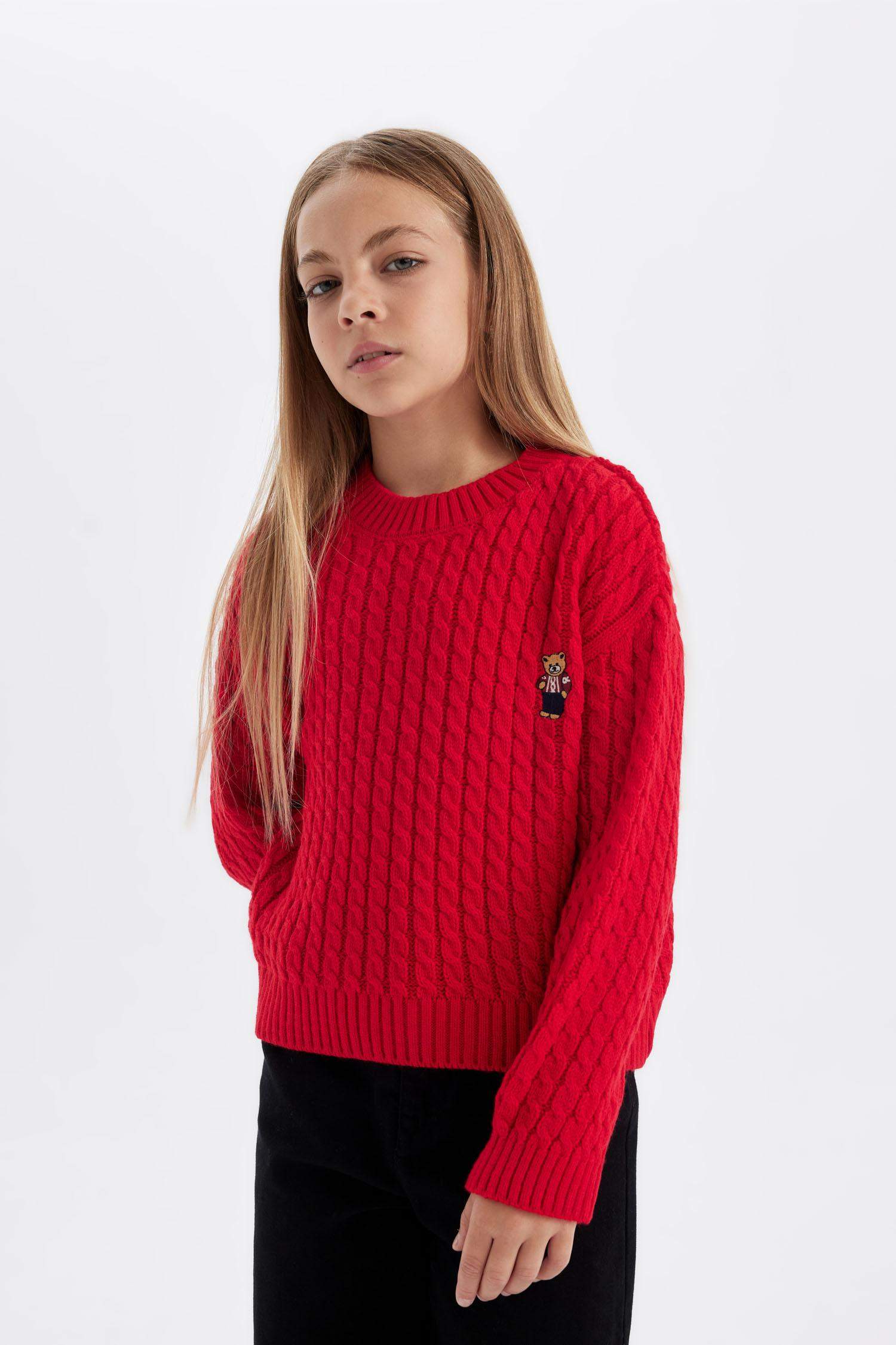 Girl Standard Fit Crew Neck Knitted Pullover