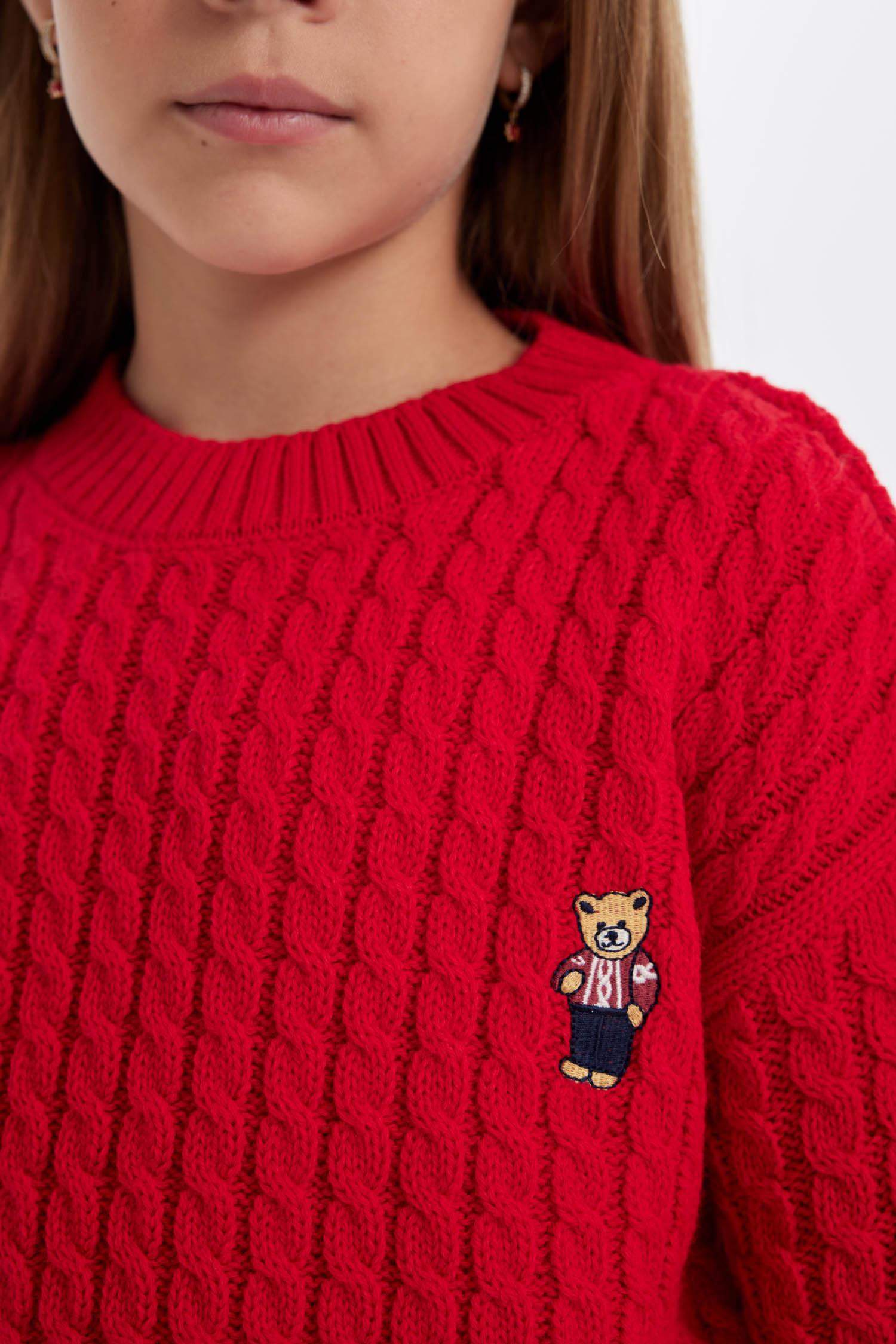 Girl Standard Fit Crew Neck Knitted Pullover