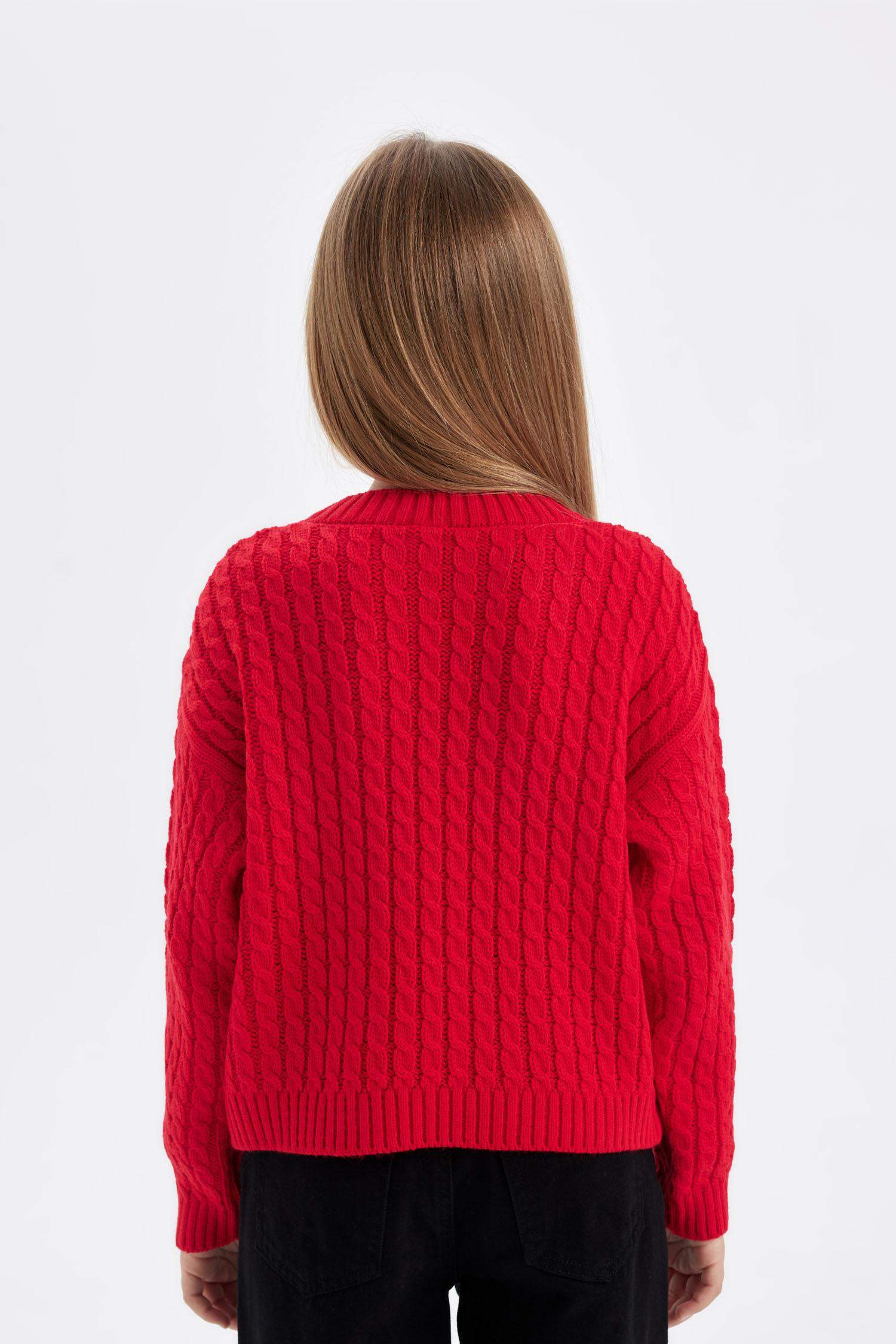 Girl Standard Fit Crew Neck Knitted Pullover