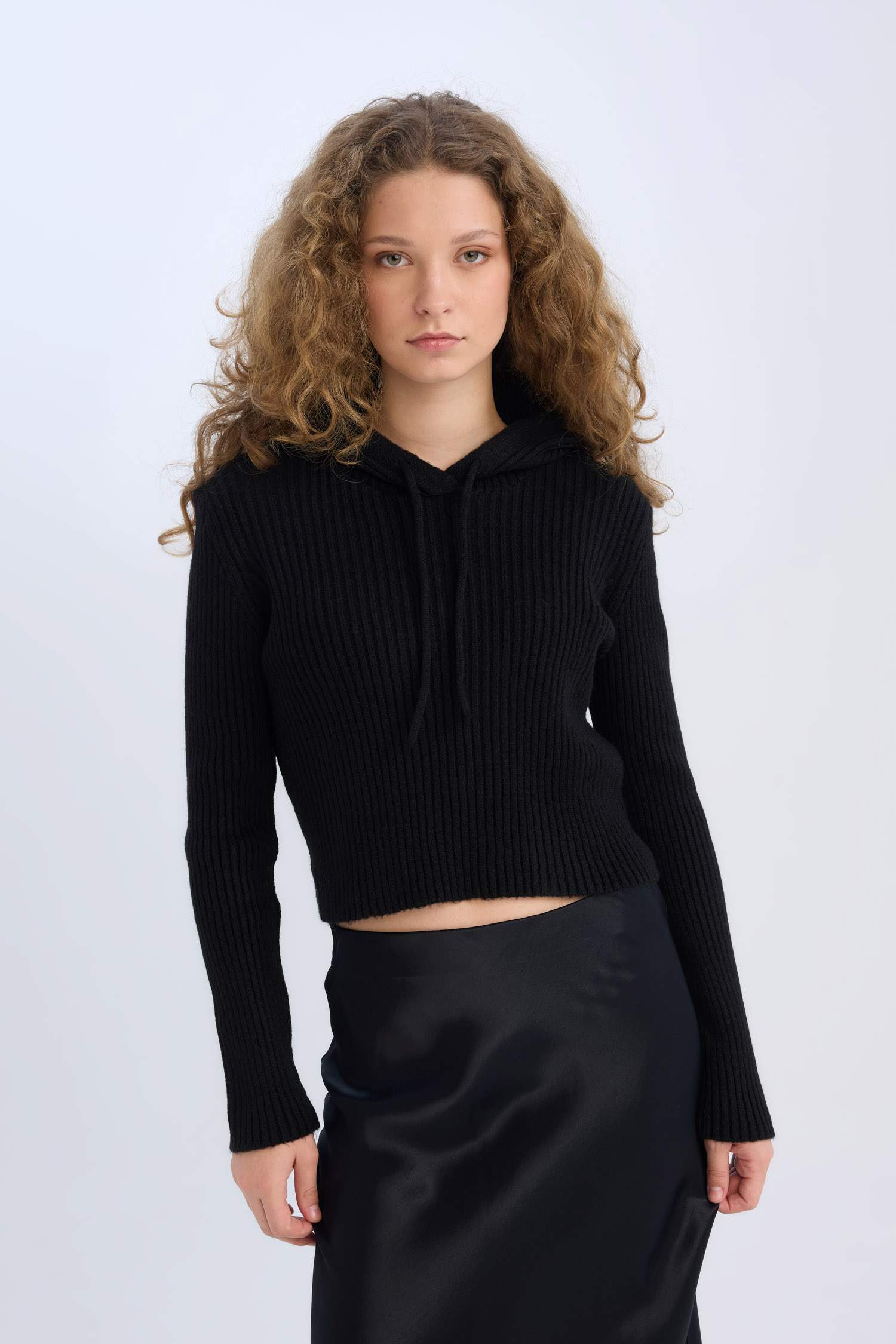 Regular Fit Hooded Knitwear Pullover