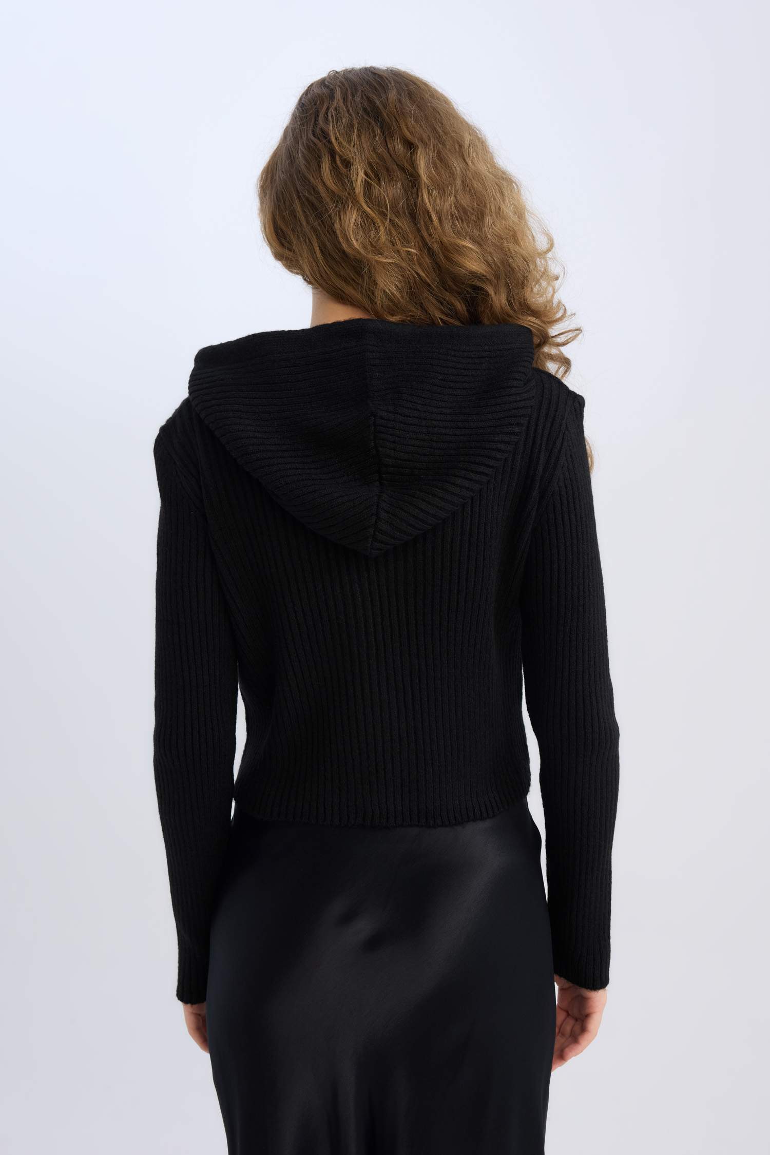 Regular Fit Hooded Knitwear Pullover