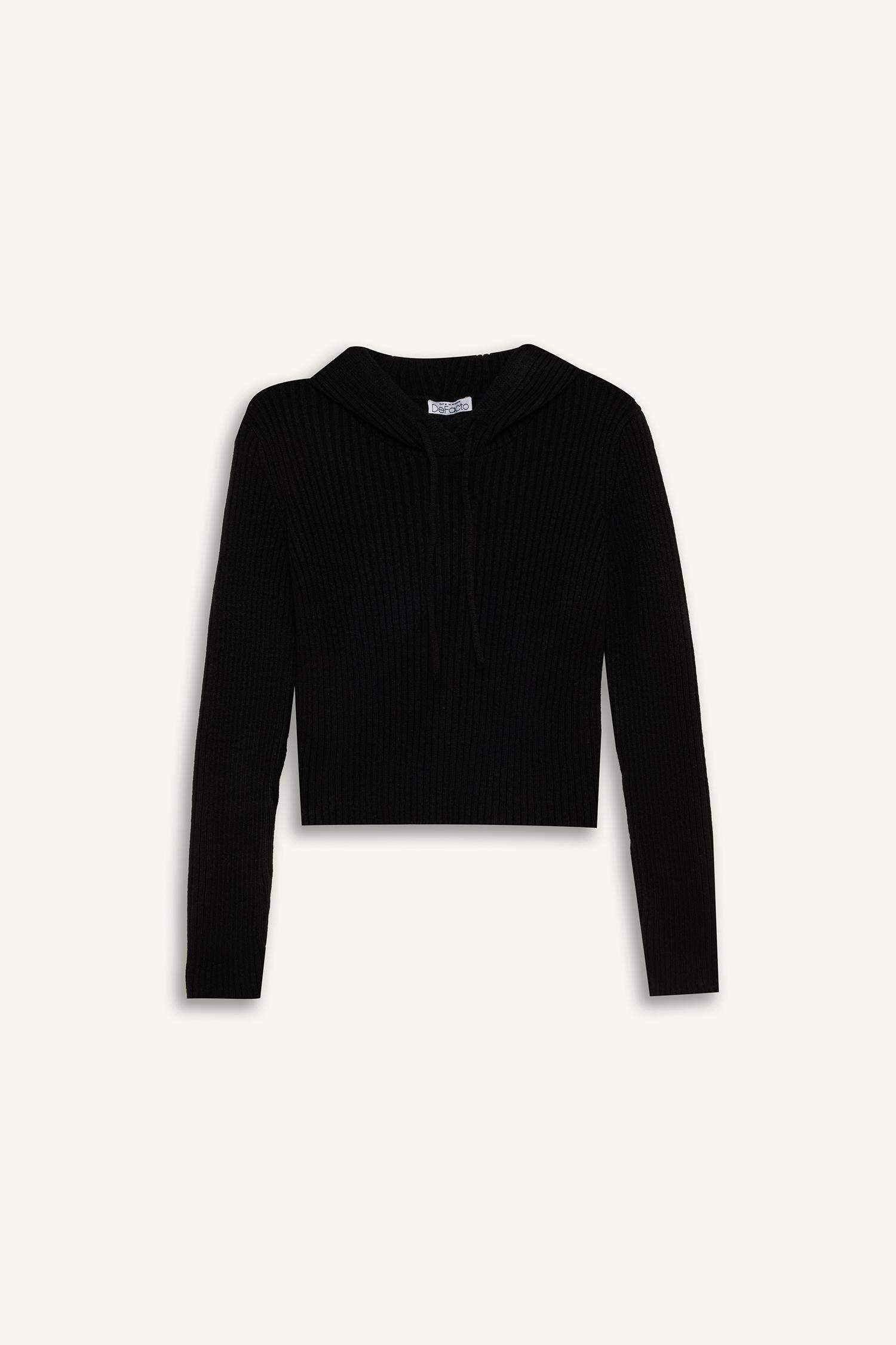 Regular Fit Hooded Knitwear Pullover