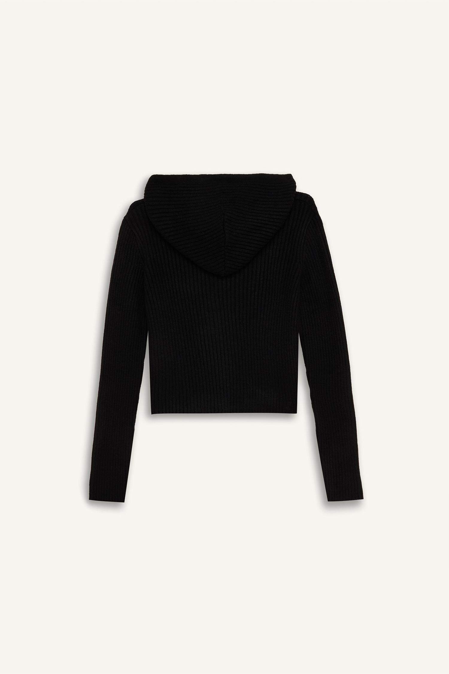 Regular Fit Hooded Knitwear Pullover
