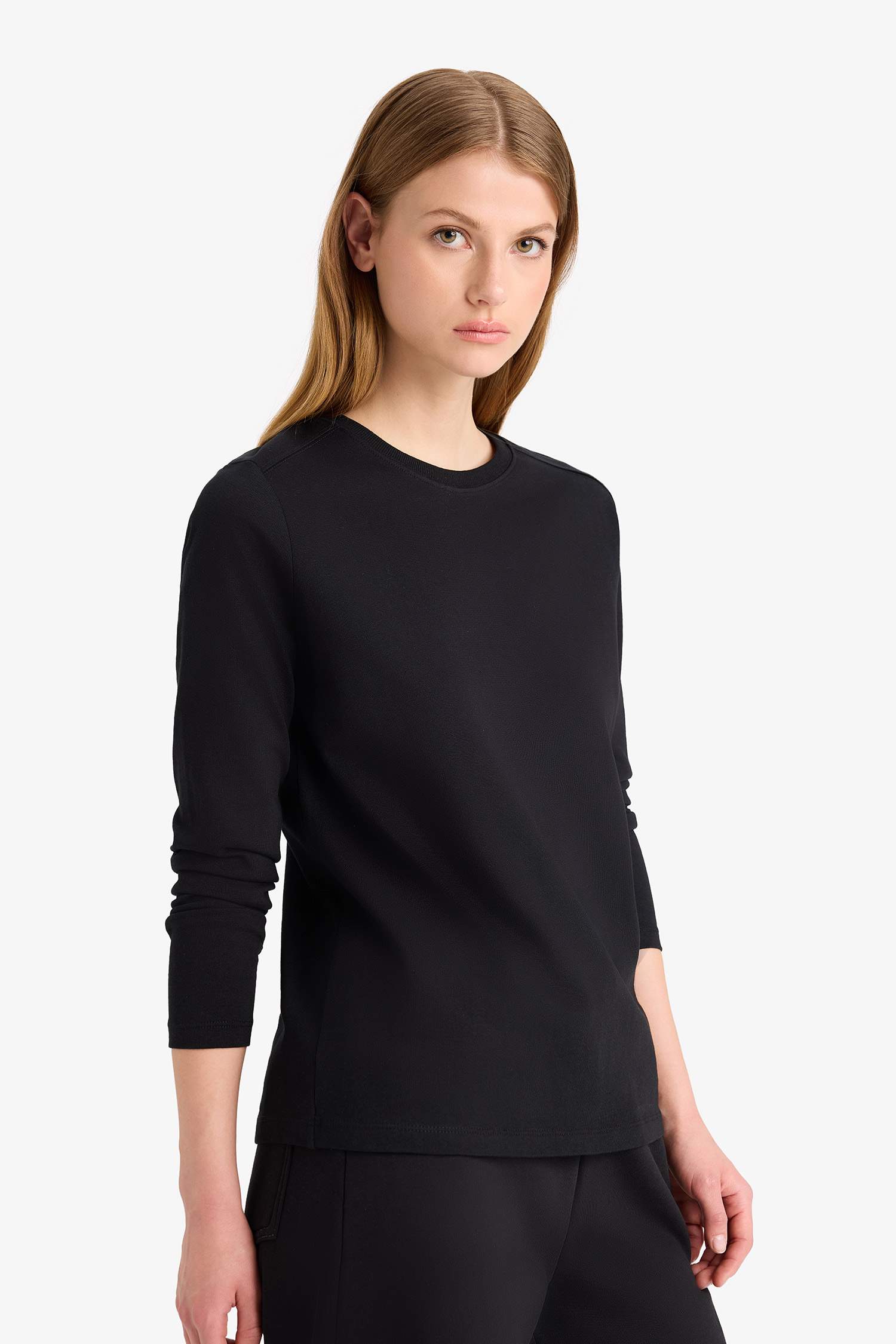 Regular Fit Crew Neck Basic Premium Long Sleeve T-Shirt