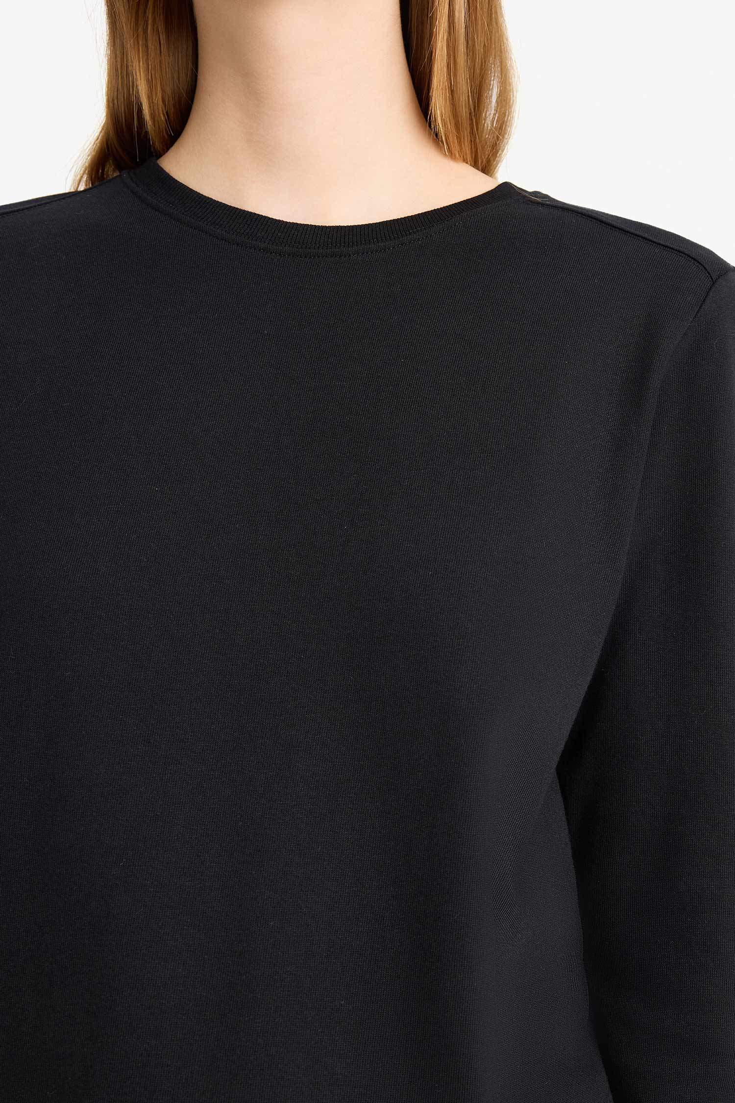 Regular Fit Crew Neck Basic Premium Long Sleeve T-Shirt