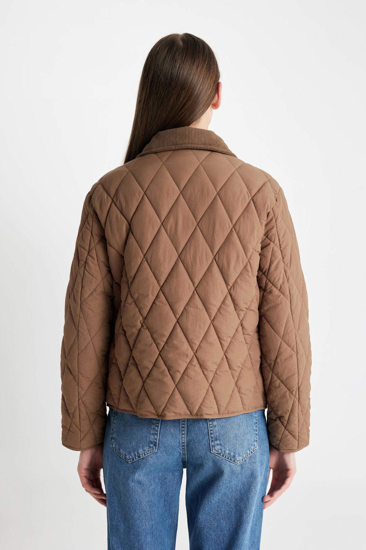 Regular Kalıp Hafif Ceket Mont Kadife Yakalı Kapitoneli Çıtçıtlı Cepli