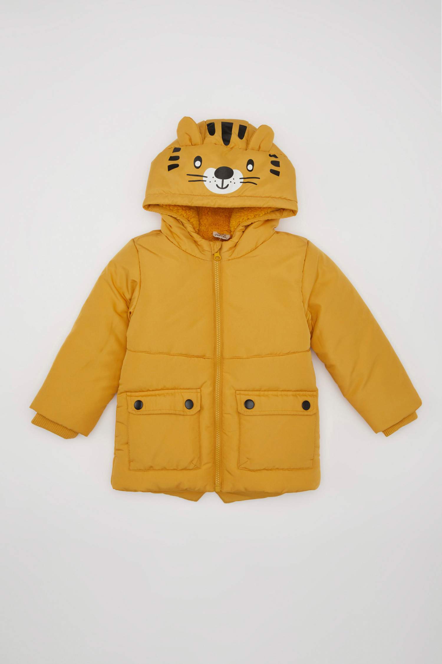 Boy Plush Lined Waterproof Fabric Hooded Puffer Jacket