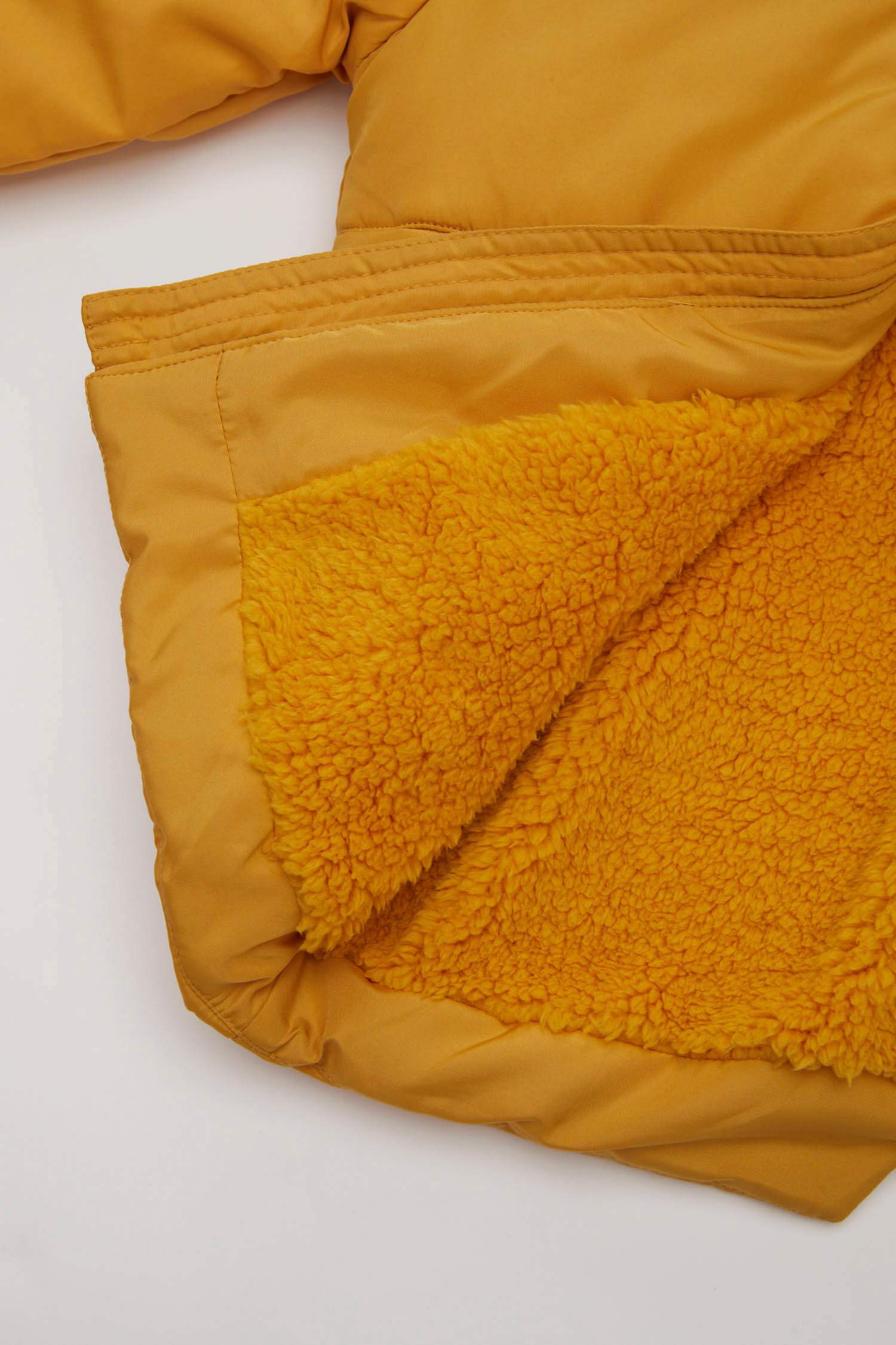 Boy Plush Lined Waterproof Fabric Hooded Puffer Jacket