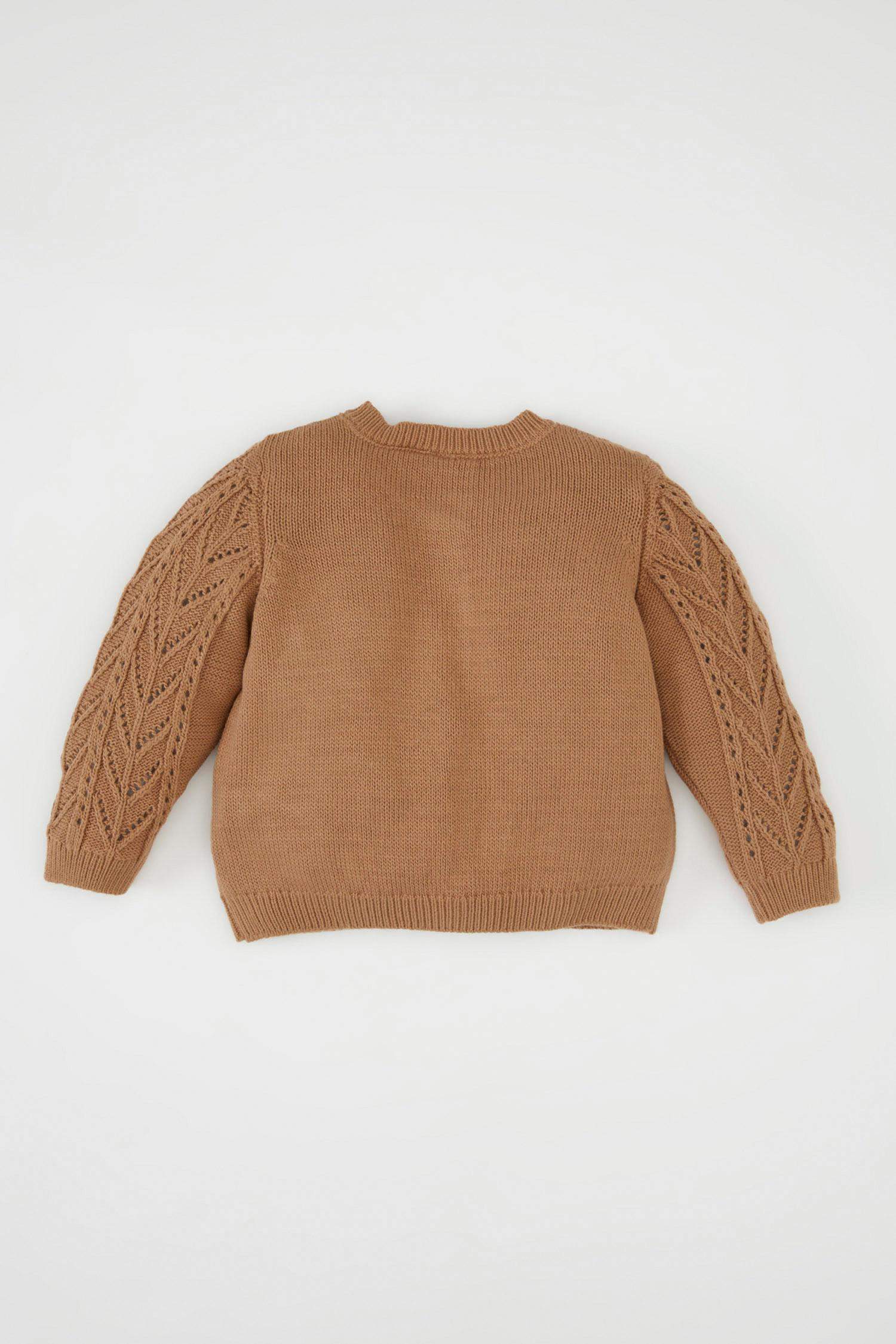 كارديجان بيبي بناتي تريكو بيزك قصة عادية