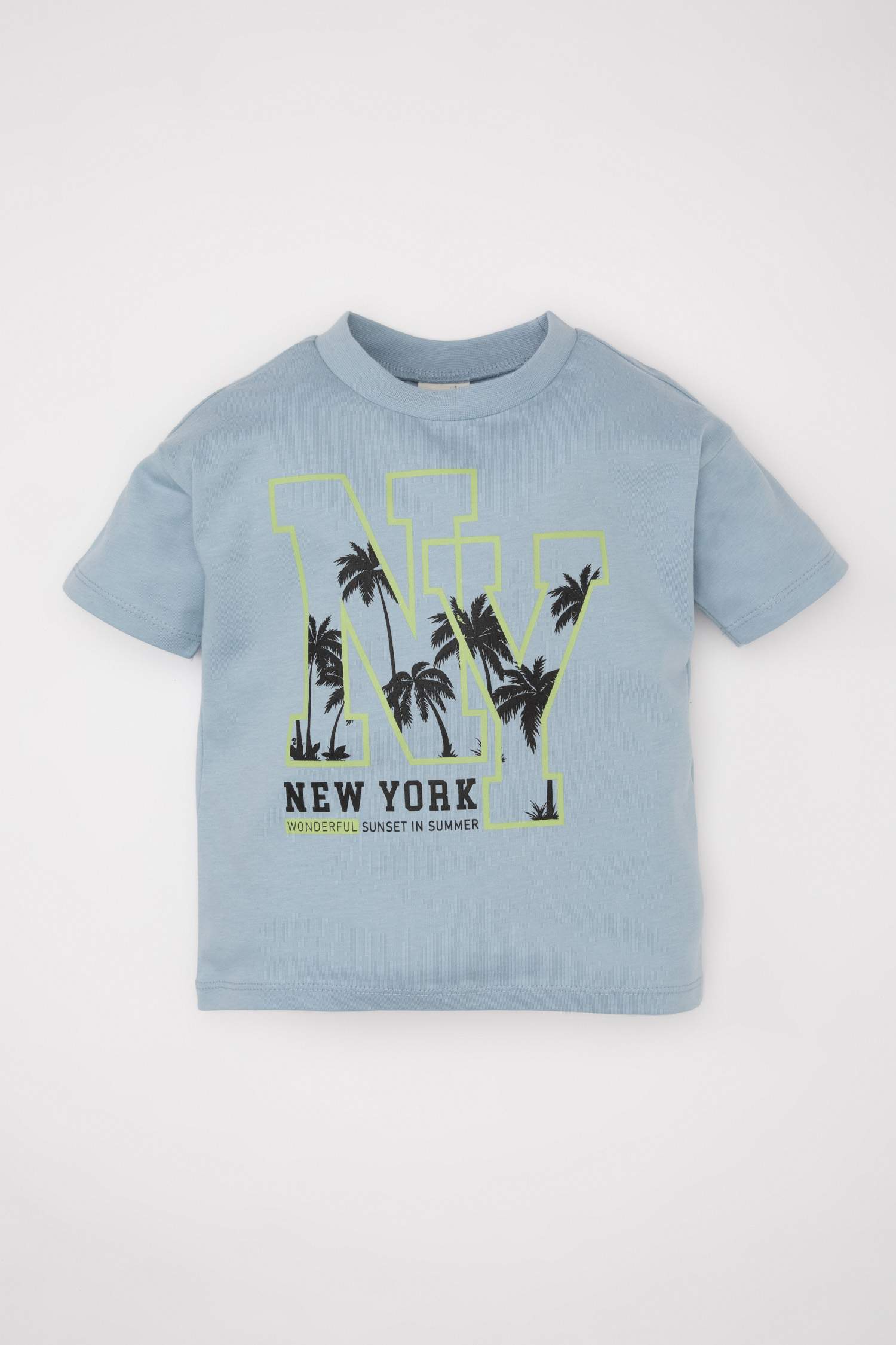Baby Boy Crew Neck Printed T-Shirt