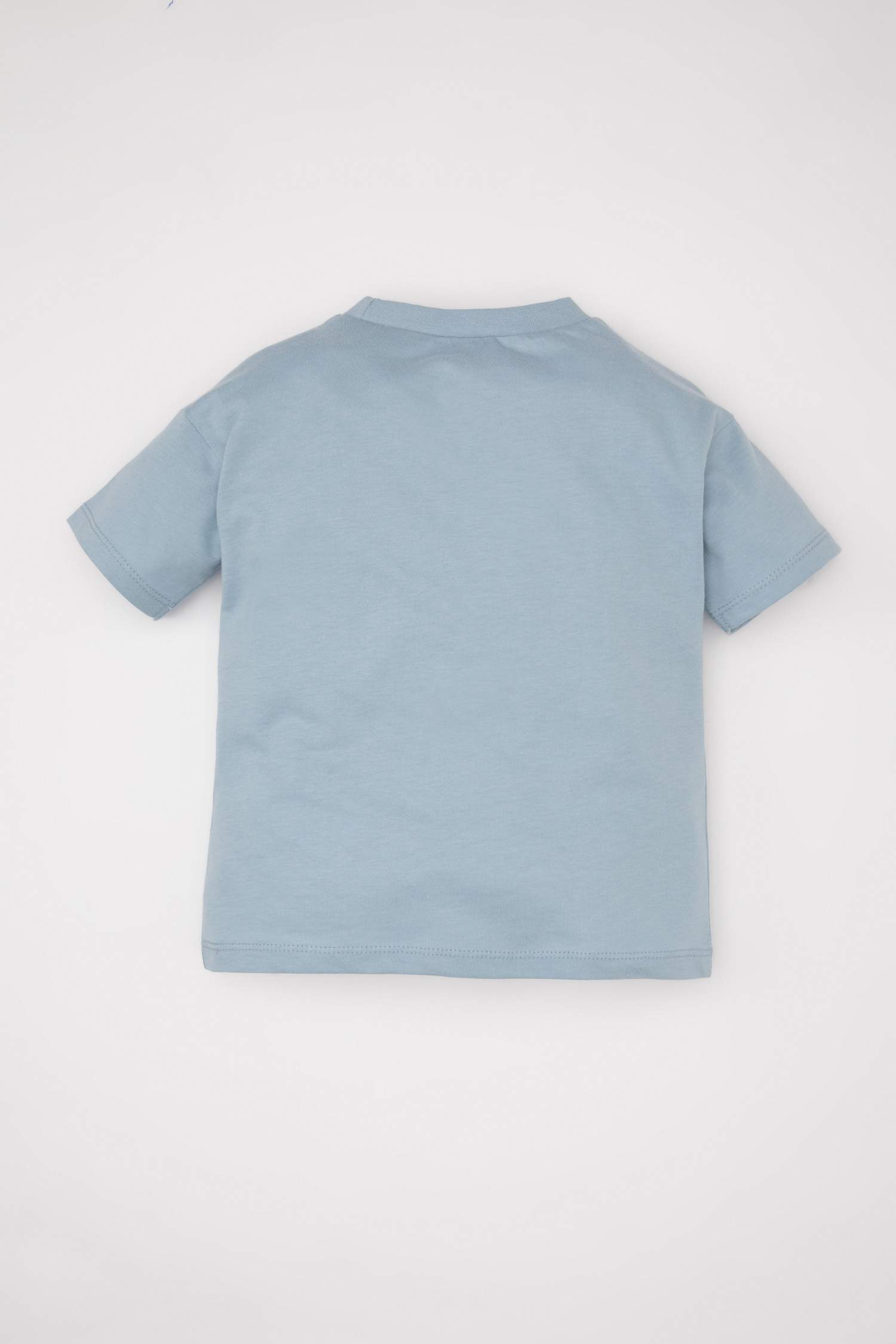 Baby Boy Crew Neck Printed T-Shirt