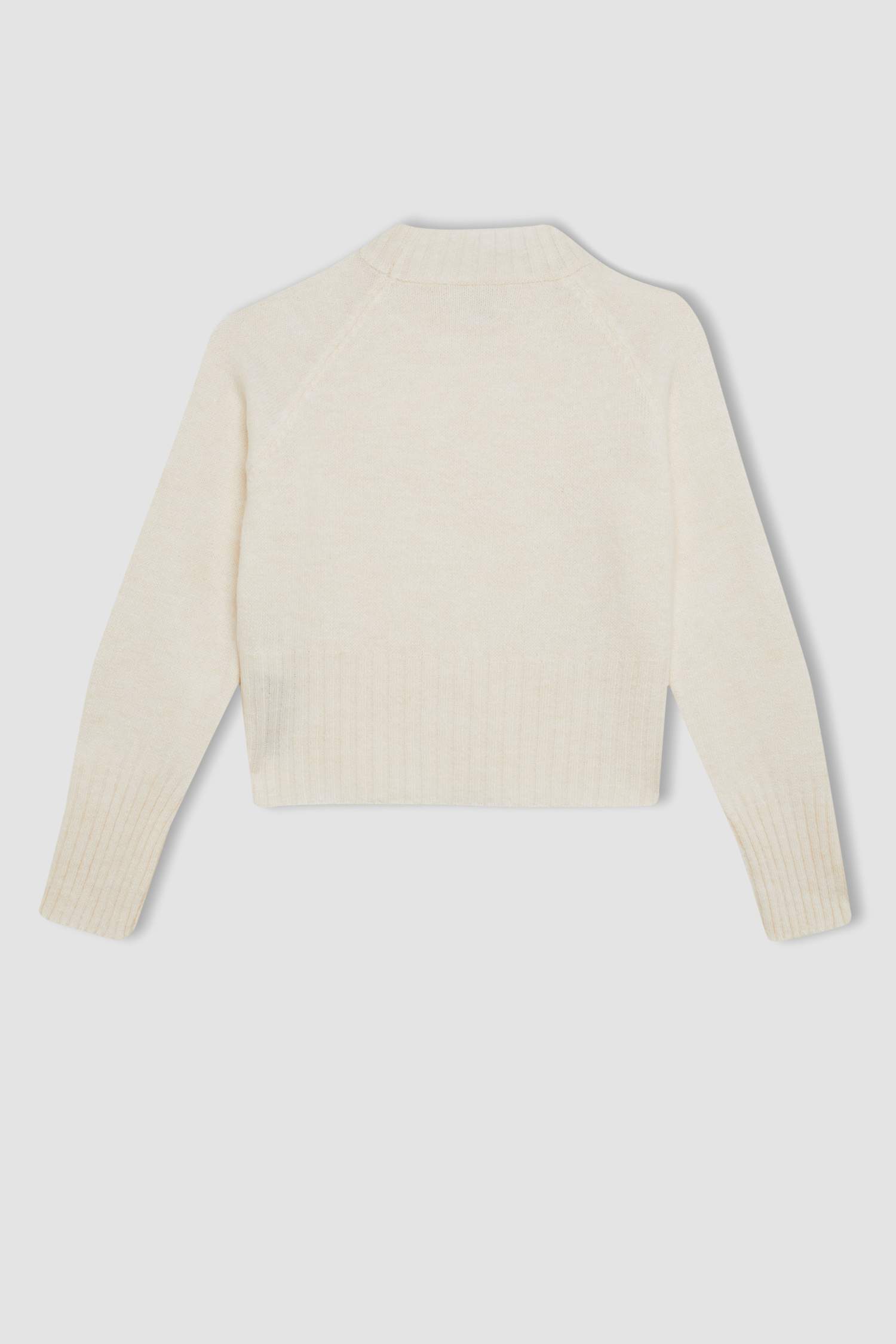 Girl Standard Fit Crew Neck Knitted Pullover