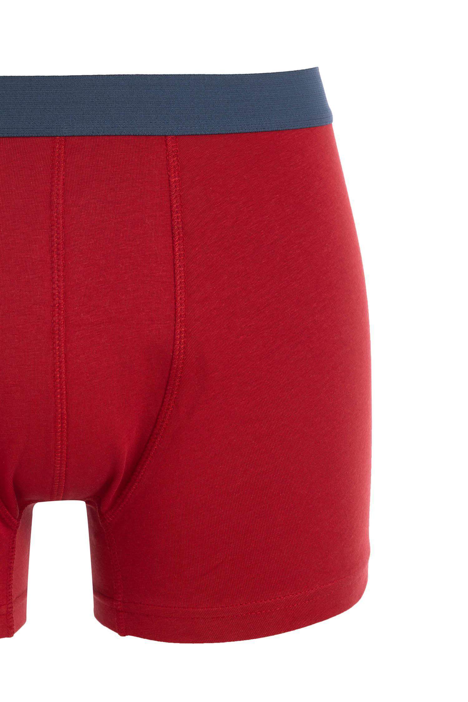 Regular Fit 3'lü Boxer