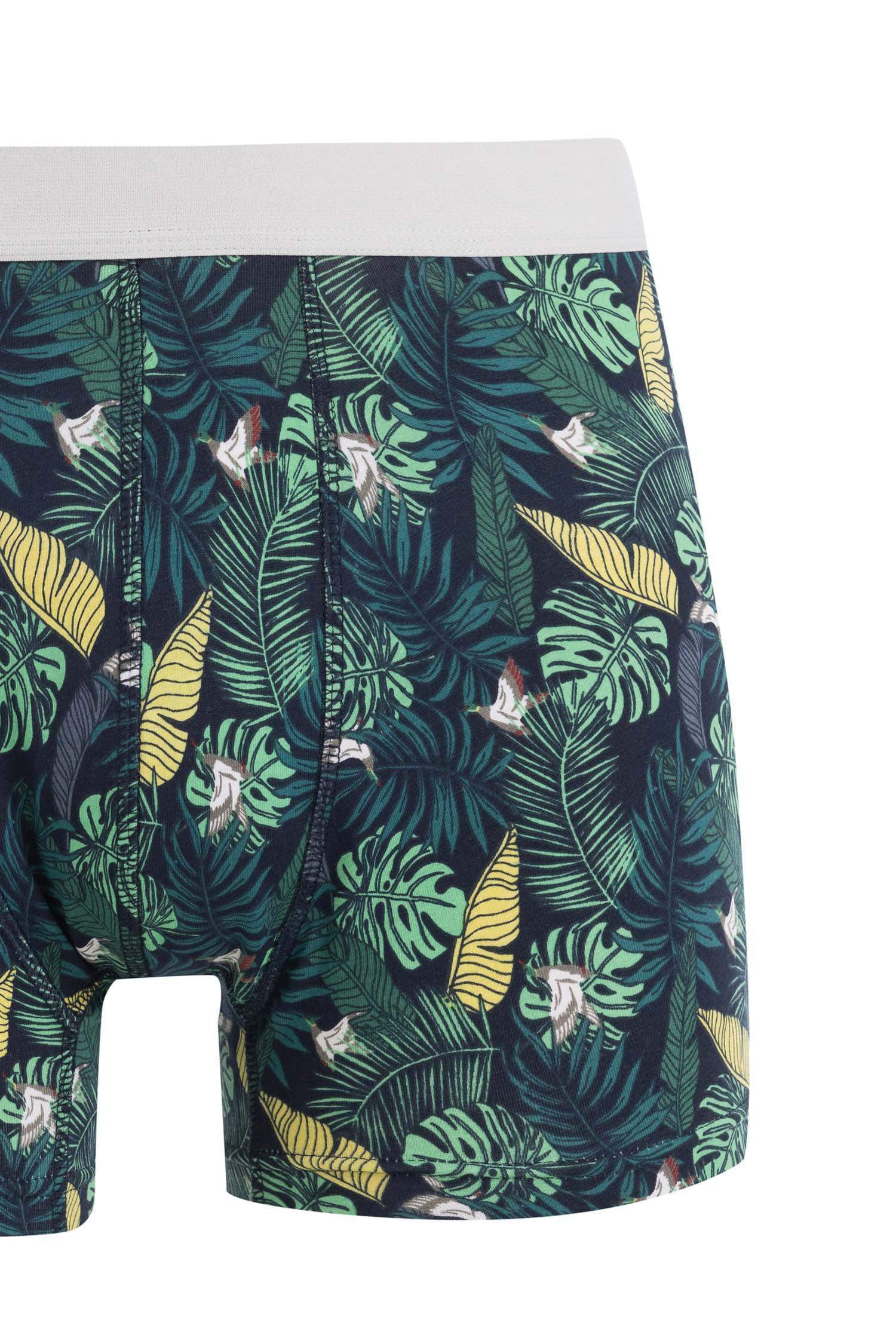 Regular Fit Baskılı 3'lü Boxer