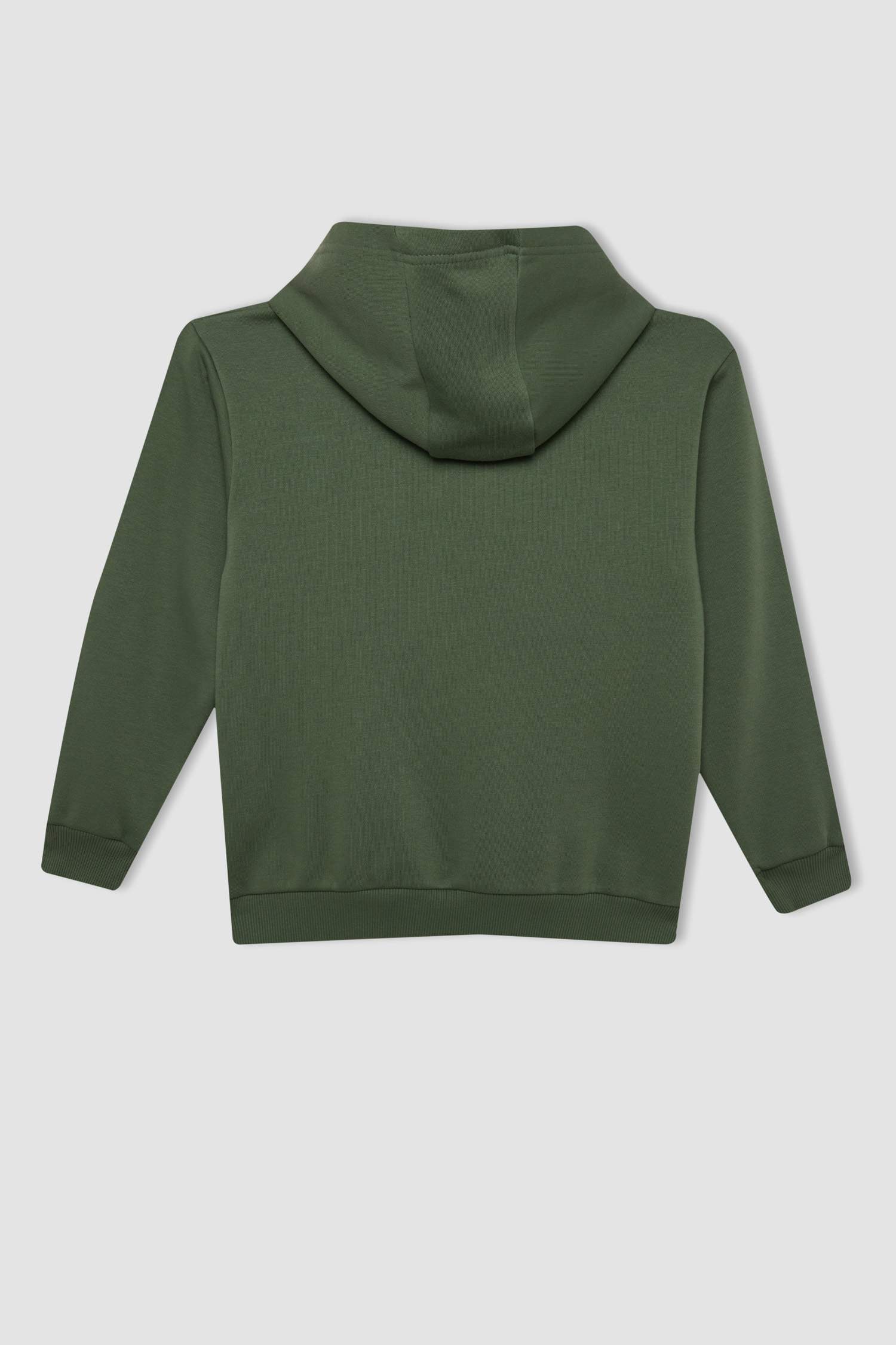 Boy Printed Hooded Sweatshirt