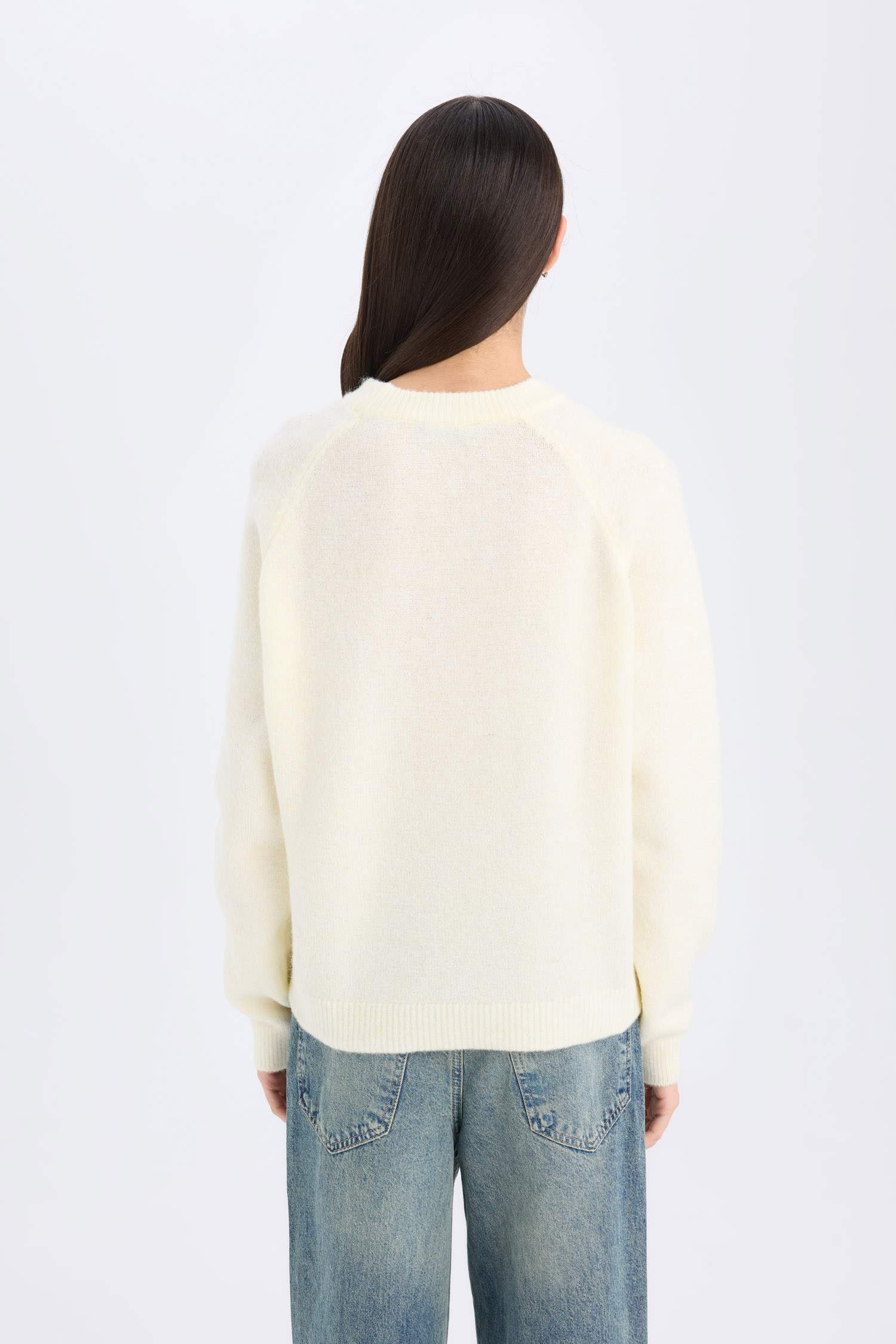 Pull Tricot Basique à Col rond et Coupe régulière