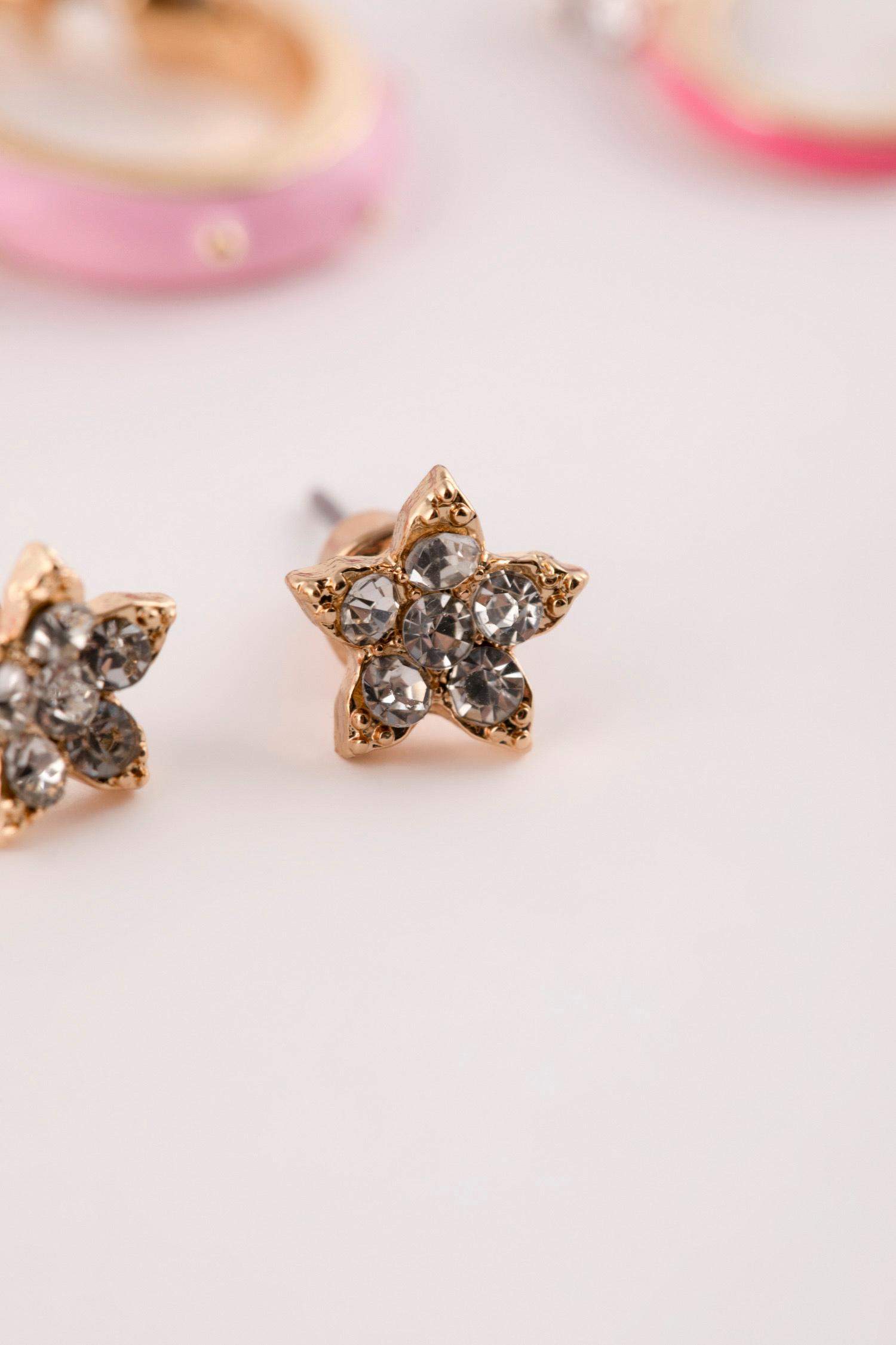 Woman 6 Piece Pink Gold Earring