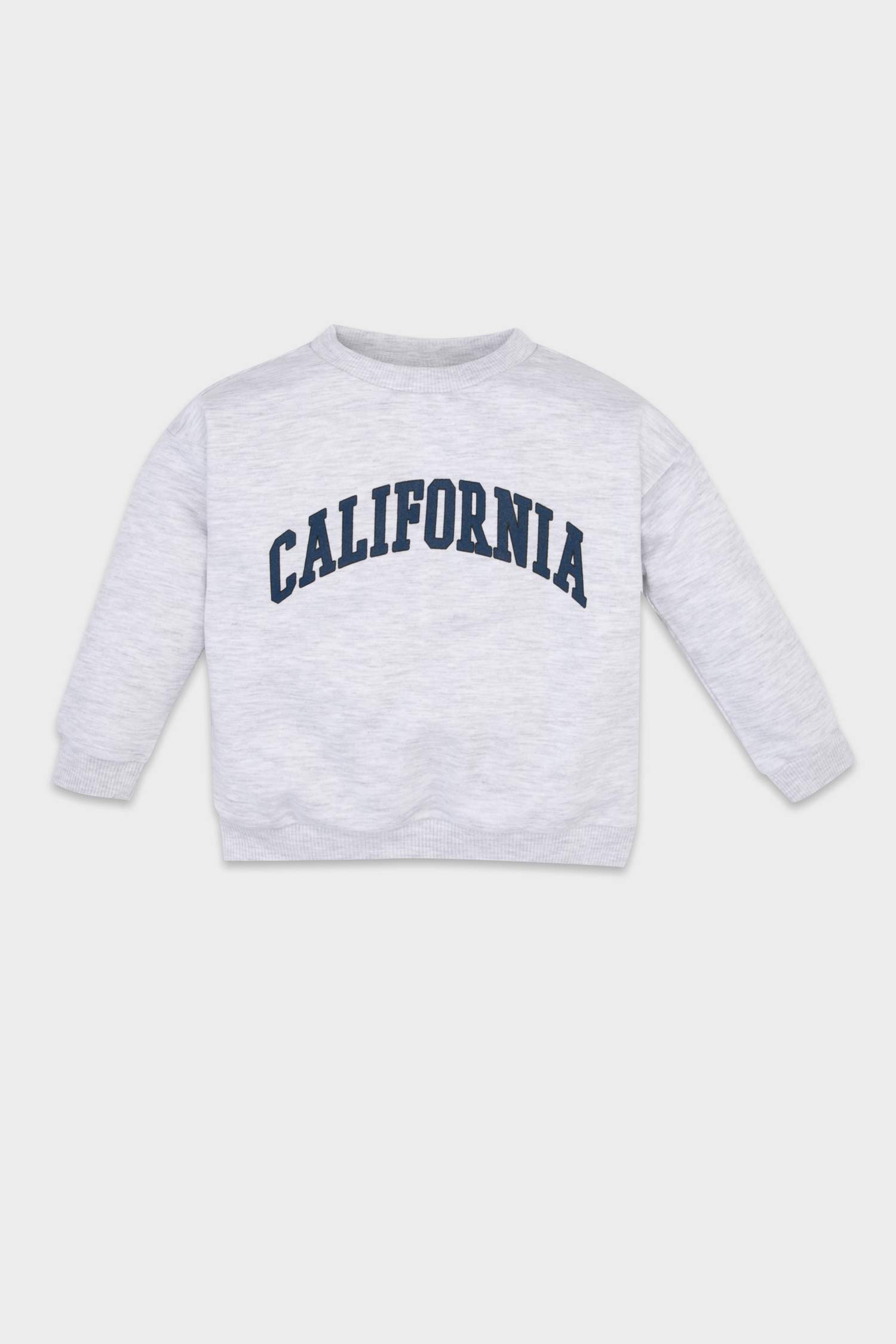 Baby Boy Regular Fit Crew Neck Text Printed Sweatshirt