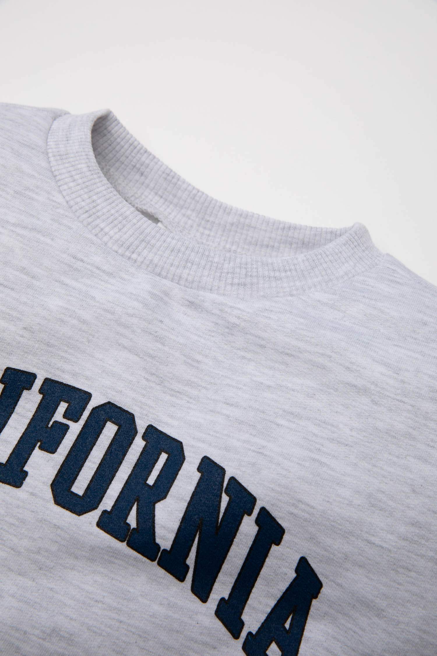 Baby Boy Regular Fit Crew Neck Text Printed Sweatshirt