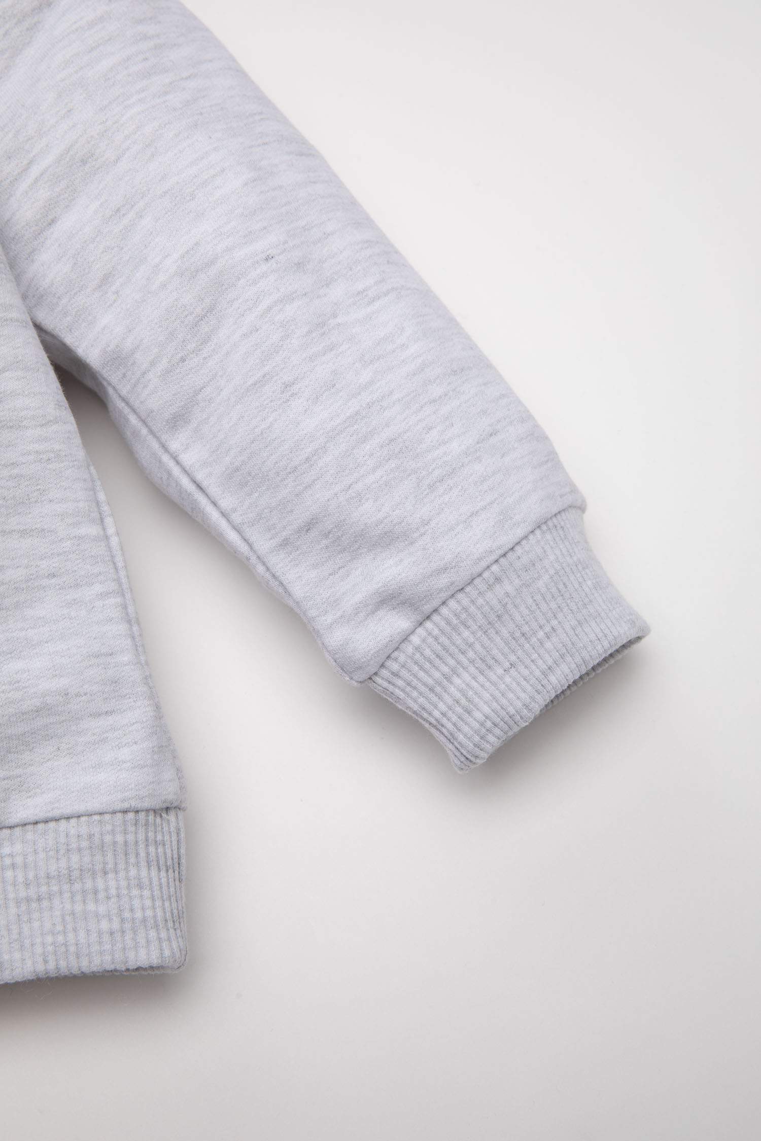 Baby Boy Regular Fit Crew Neck Text Printed Sweatshirt