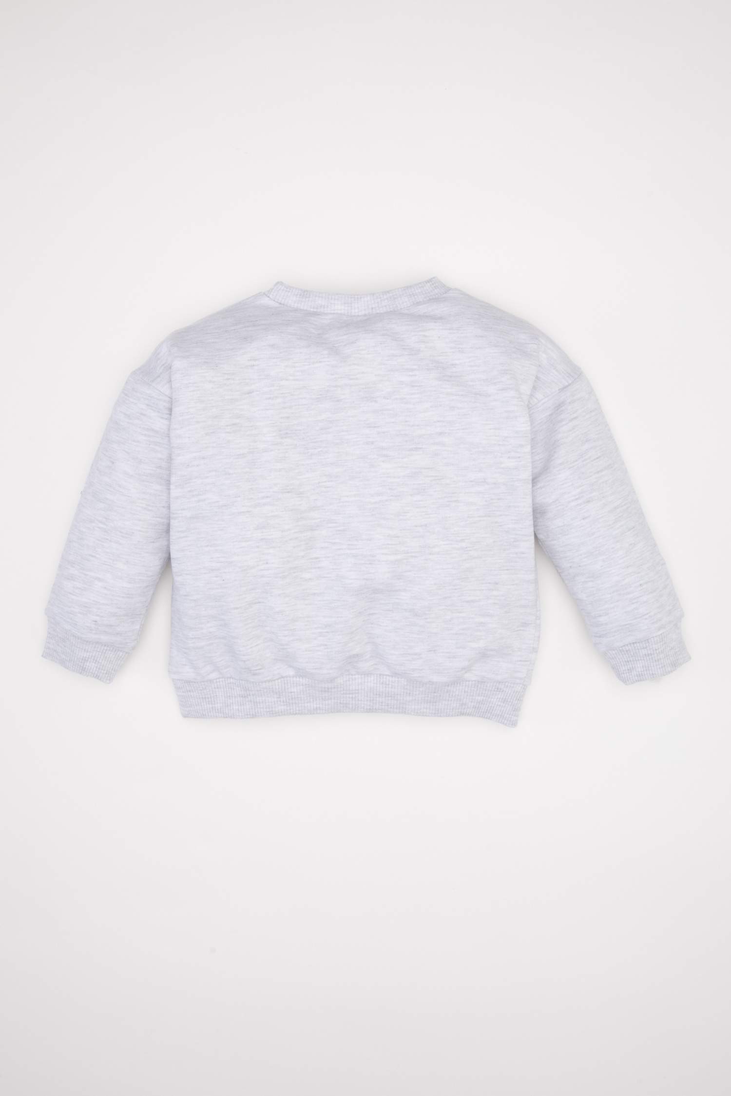 Baby Boy Regular Fit Crew Neck Text Printed Sweatshirt