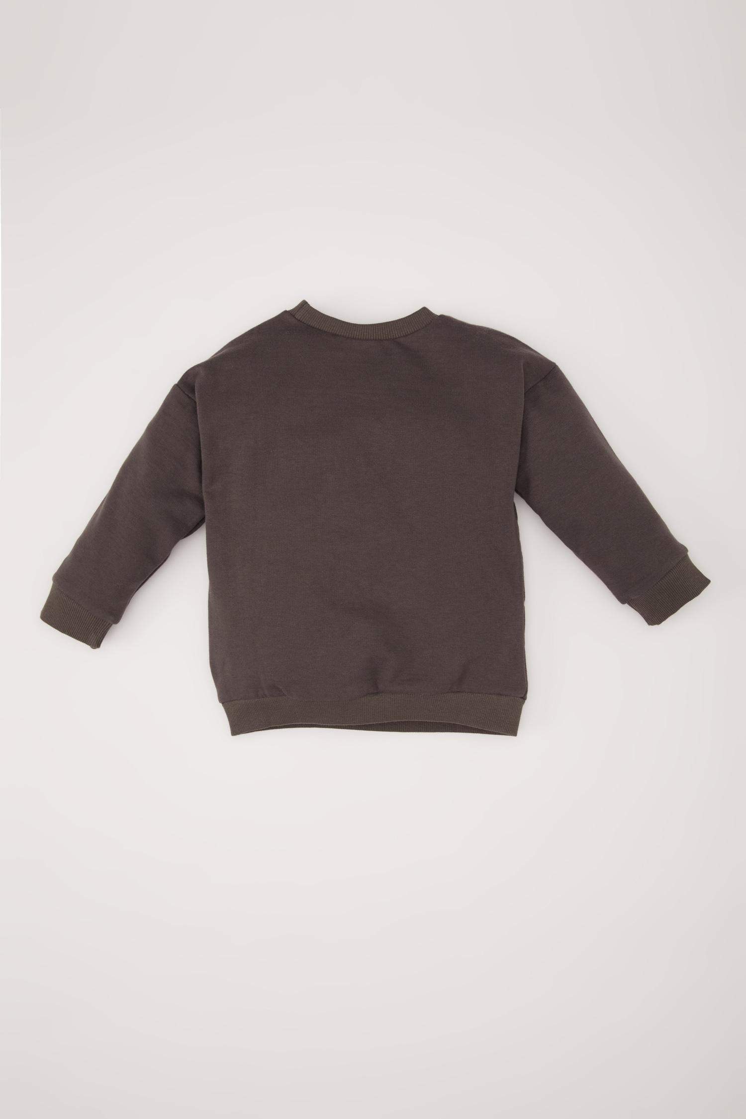 Erkek Bebek Bisiklet Yaka Baskılı İçi Yumuşak Tüylü Sweatshirt