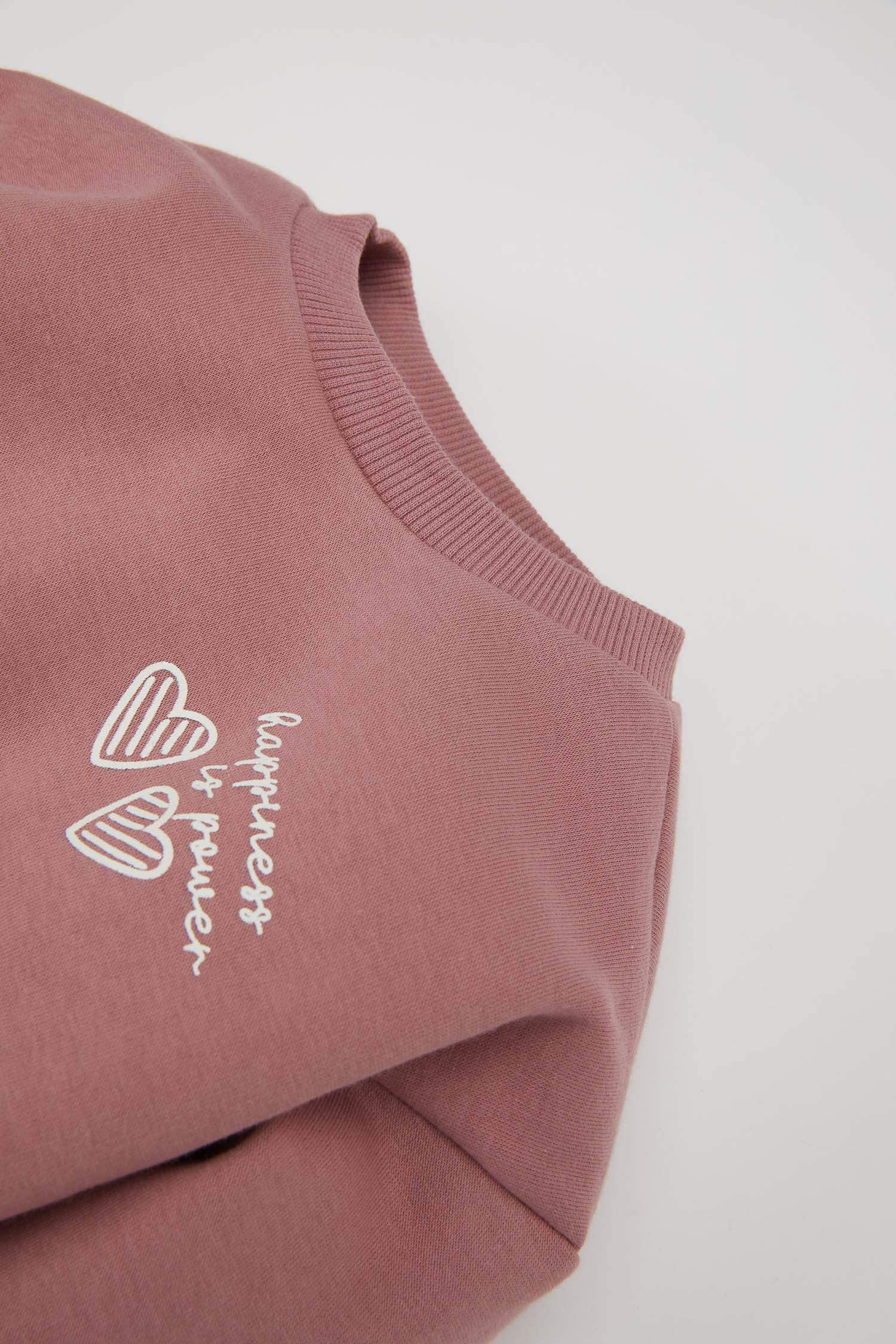 Baby Girl Printed Sweatshirt Elastic Waist Sweatpants 2 Piece Set